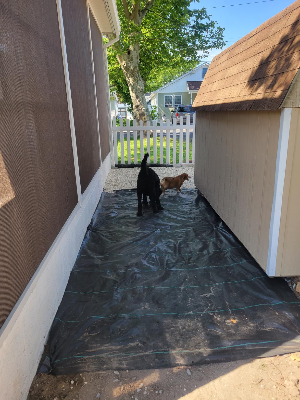 Happybuy 6x300ft Premium Weed Barrier Landscape Fabric Heavy Duty 2.4OZ, Woven Weed Control Fabric, High Permeability Good for Flower Bed, Geotextile Fabric Underlayment, Driveway Fabric Ground Cover customer photo 1