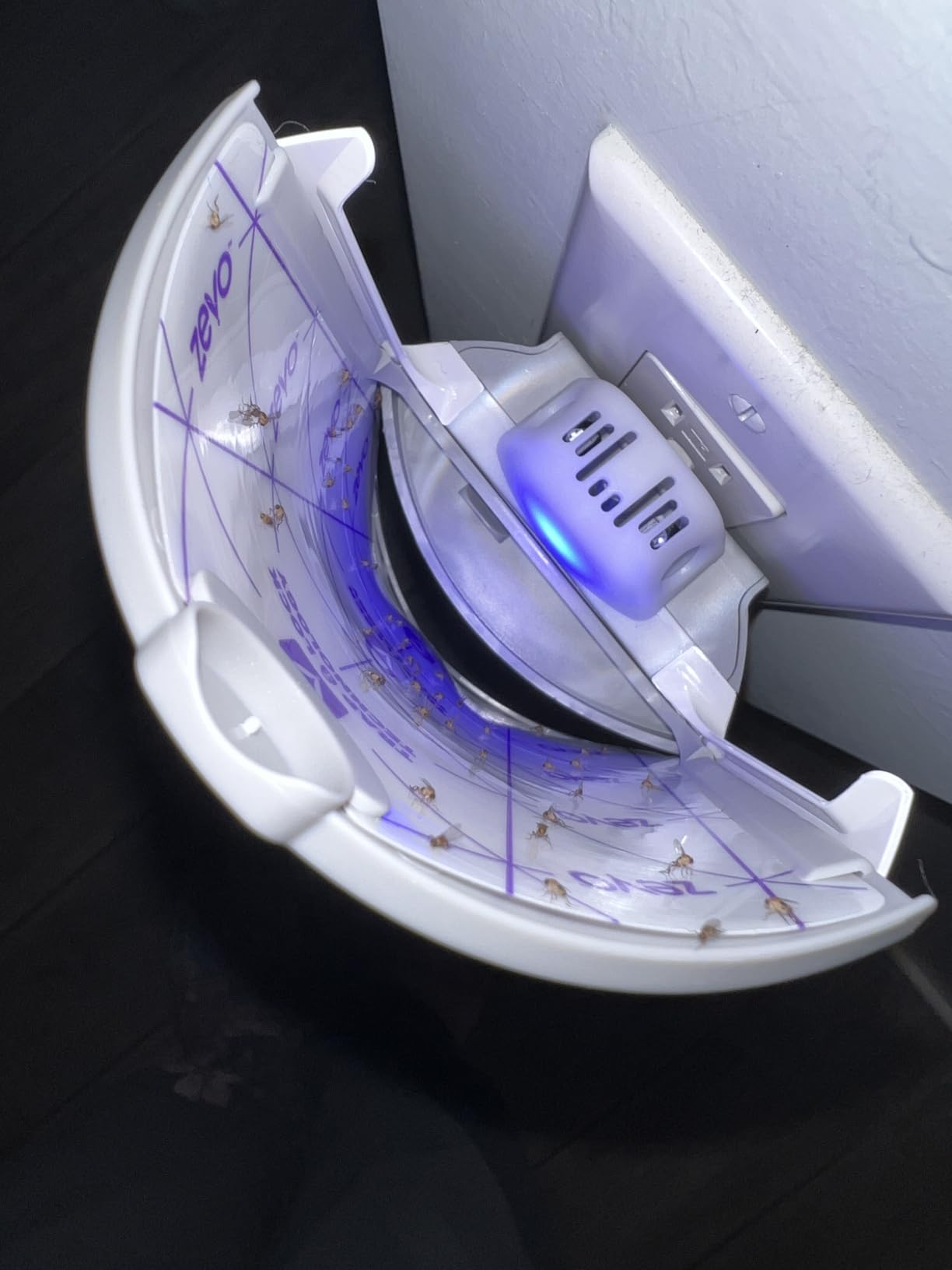 Zevo Flying Insect Trap - Plug-in Indoor Fly Trap and Bug Light Trap Refill with Blue and UV Light - No-Mess Cartridge for House Flies, Fruit Fly Trap and Gnats (1 Plug-in Base and 1 Cartridge) customer photo 2