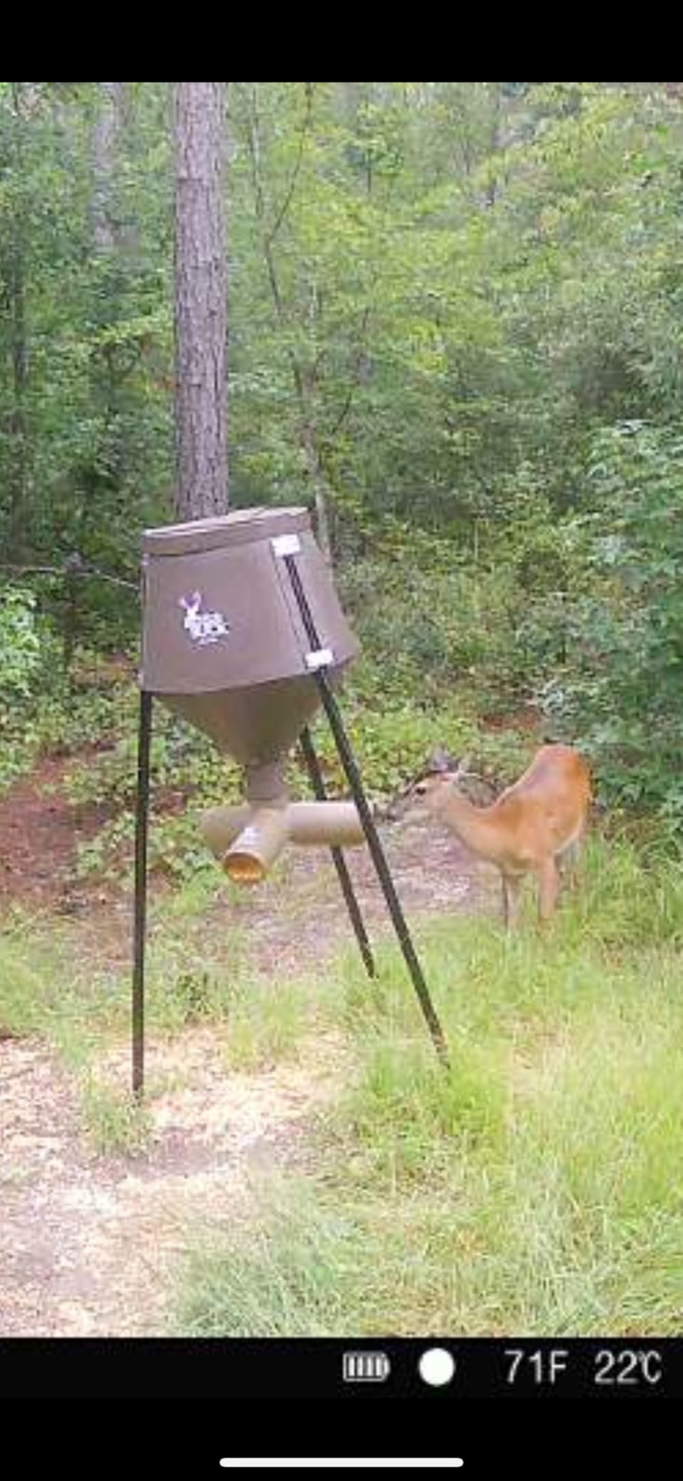 BOSS Buck 600 LB Deer Feeder/Hunting Durable Lightweight Plastic UV Protected Windproof Waterproof Gravity Feed System with Protein 4 Feed Tubes Head & Multi-Piece Round Legs customer photo 1