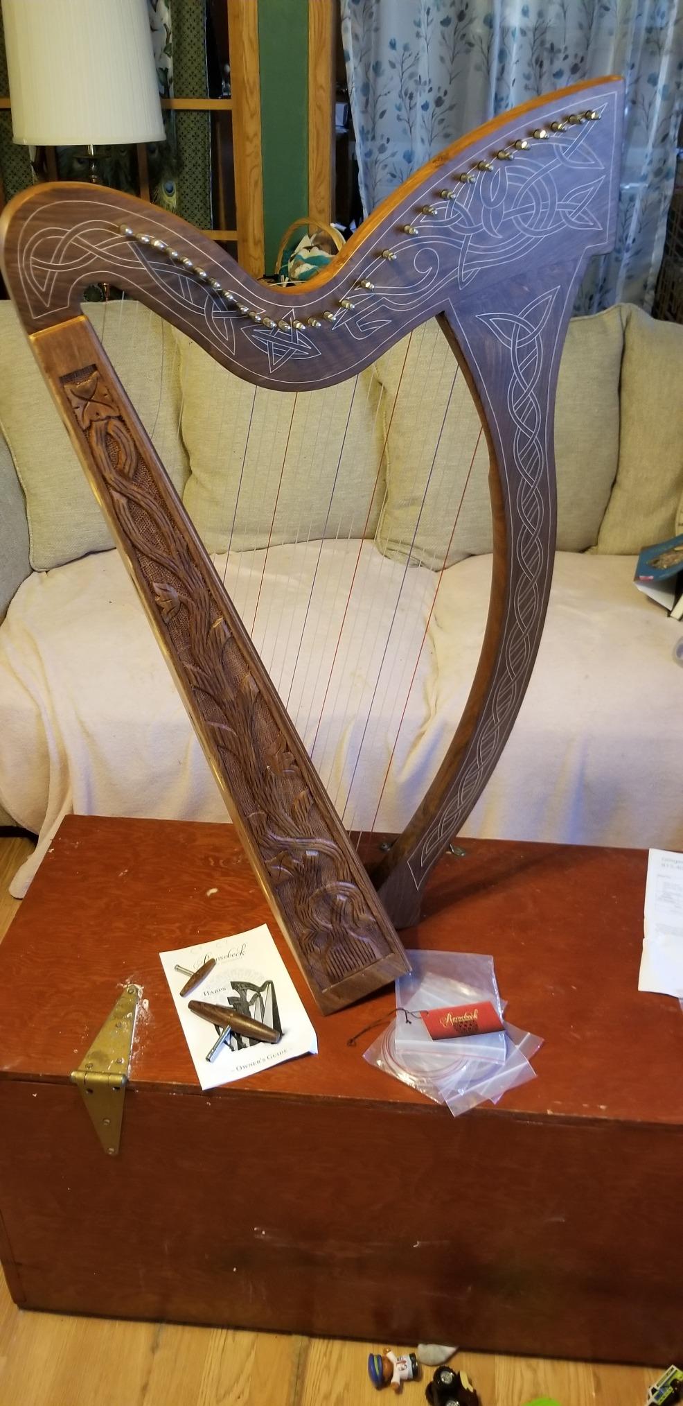 29-String Minstrel Harp w/Chelby Levers - Vine Design customer photo 1