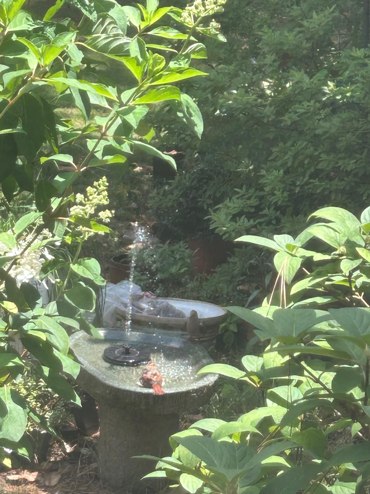 Mademax Solar Bird Bath Fountains, Upgrade 1.4W Solar Fountain Pump with 8 Nozzles & 4 Brackets, Free Standing Floating Solar Powered Water Fountain Pump for Bird Bath, Garden, Pond, Pool, Outdoor customer photo 1