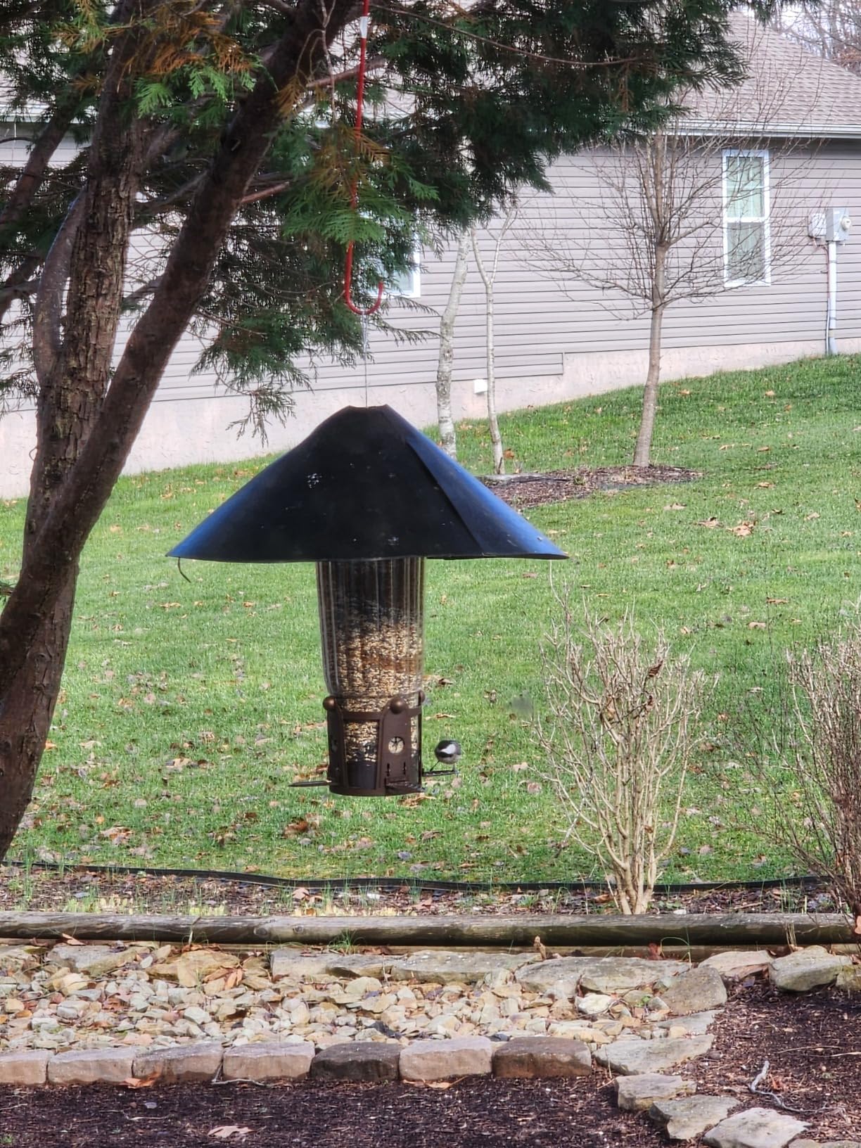 Perky-Pet Squirrel-Be-Gone Max Bird Feeder, (4) Flexport Feeding Stations | Squirrel-Proof Metal Hanging Feeder for Outdoors, Weight-Activated Ladder-Style Perches, 4lb Seed Capacity, 334-1SR customer photo 2
