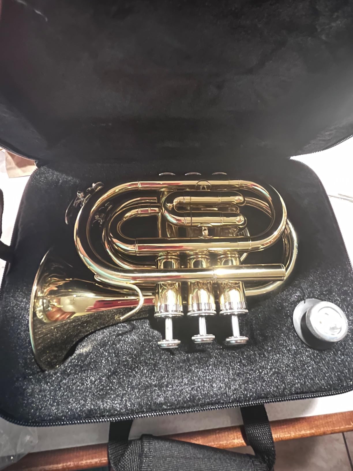 Ashthorpe Bb Brass Pocket Trumpet with Nickel Plated Finish - Includes Case, Mouthpiece, Gloves, Cleaning Cloth, Valve Oil customer photo 2