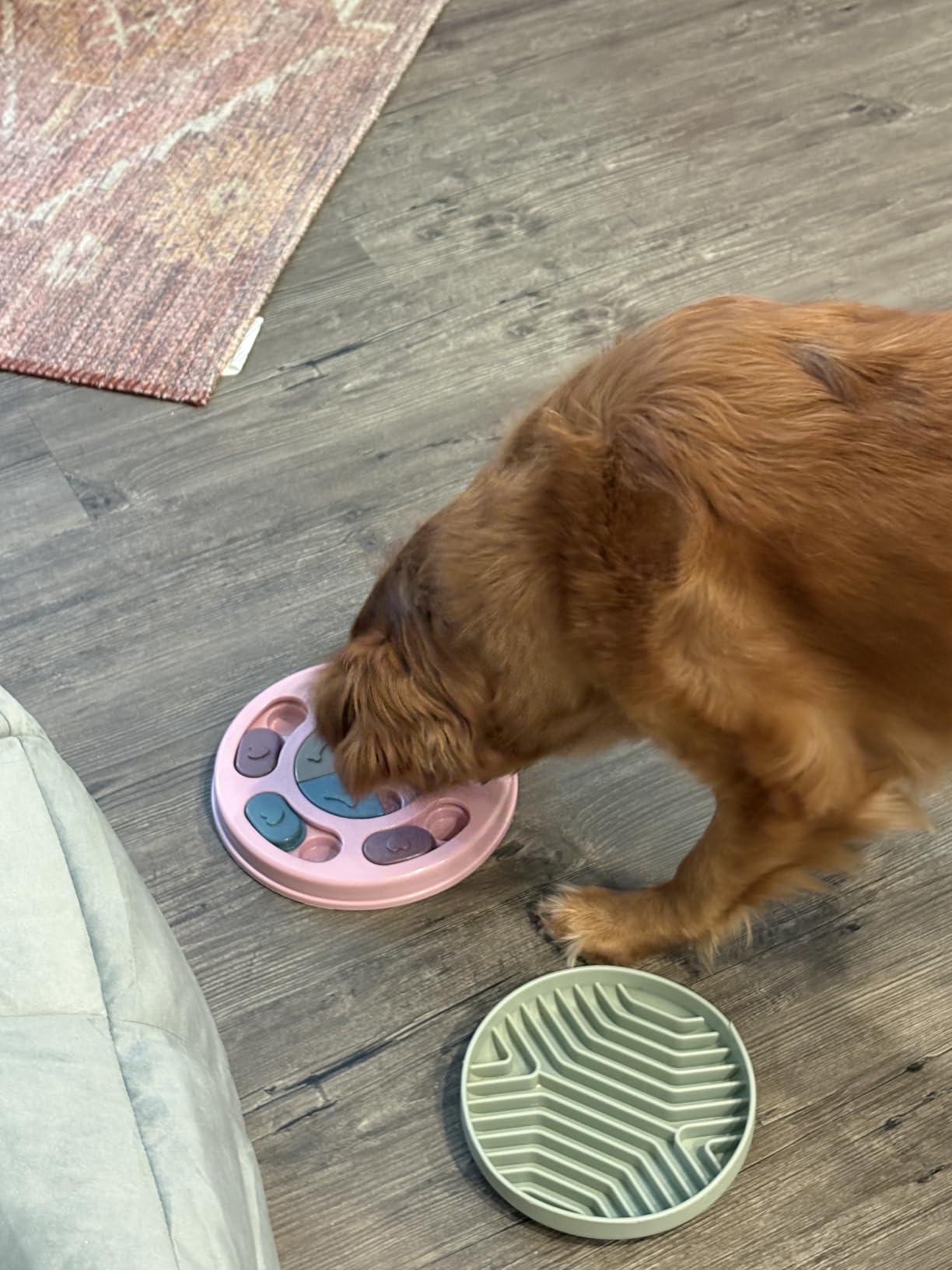 DR CATCH Dog Puzzle, Dogs Food Toys for IQ Training & Mental Enrichment, Dog Treat Puzzle (Blue) customer photo 2