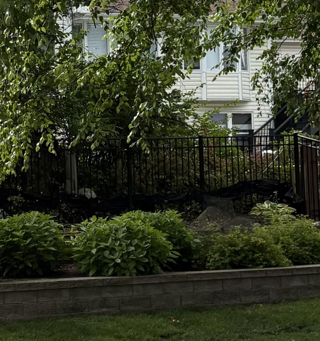 iCover 4x50ft Privacy Screen Fence, Outdoor Fencing Panels, Garden Windscreen Mesh Shade Sail Net Barrier, Include Reinforced Bindings and Brass Grommets Cable Zip Ties, Black customer photo 1