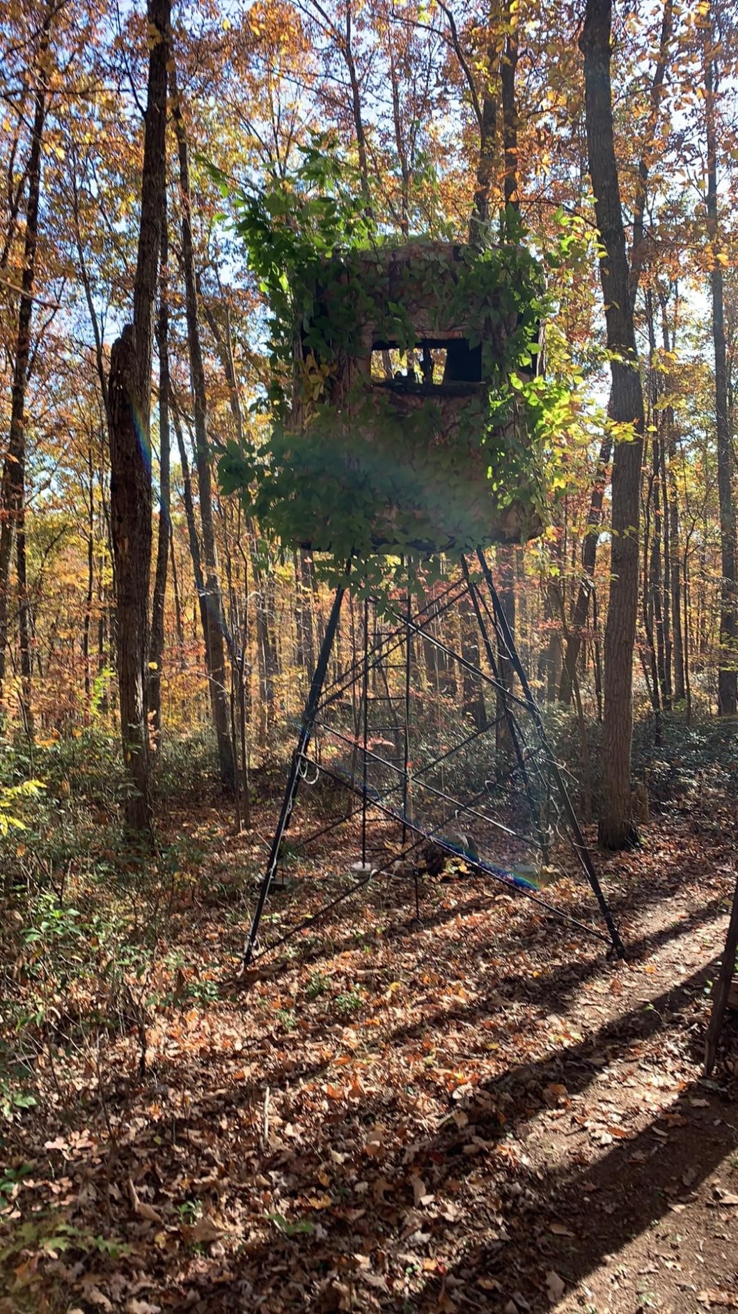 Muddy Soft Side 360 Resistant Heavy-Duty Powder Coated Steel Hunting Blind - Insulated Fabric Walls, Floor Pad, Silent Zipper Window System customer photo 1
