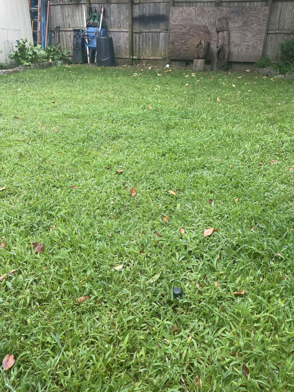 Rain Bird 32HE In-Ground Pro Rotor Pop-up Sprinkler System Kit customer photo 2
