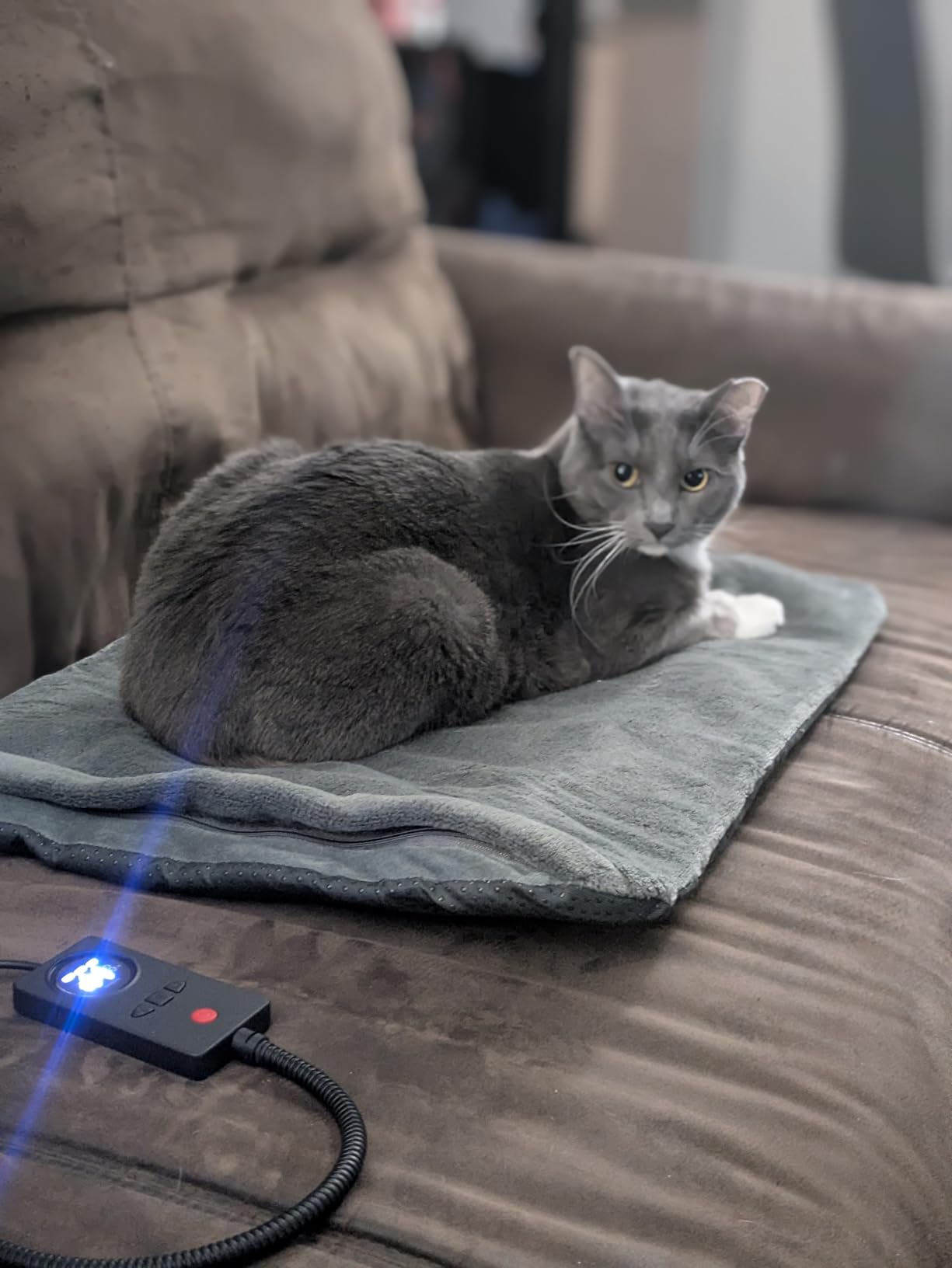 uncn Dog Cat Heating Pad Pressure Activated 18 X 22 Pet Heat Pack Automatic Electric Heated Bed Mat for Indoor Warming Pad Chew Resistant Cord, Adjustable Temperature Waterproof Washable customer photo 1