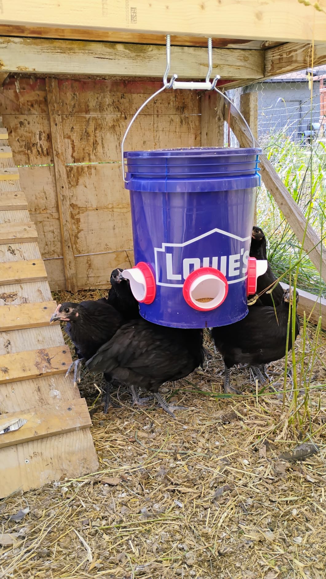 Chicken Feeders No Waste, DIY Automatic Poultry Feeder - 6 Ports Red | Buckets Barrels Bins Troughs-mountable Design for common Breeds of Chicken Flock with Hole Saw customer photo 1