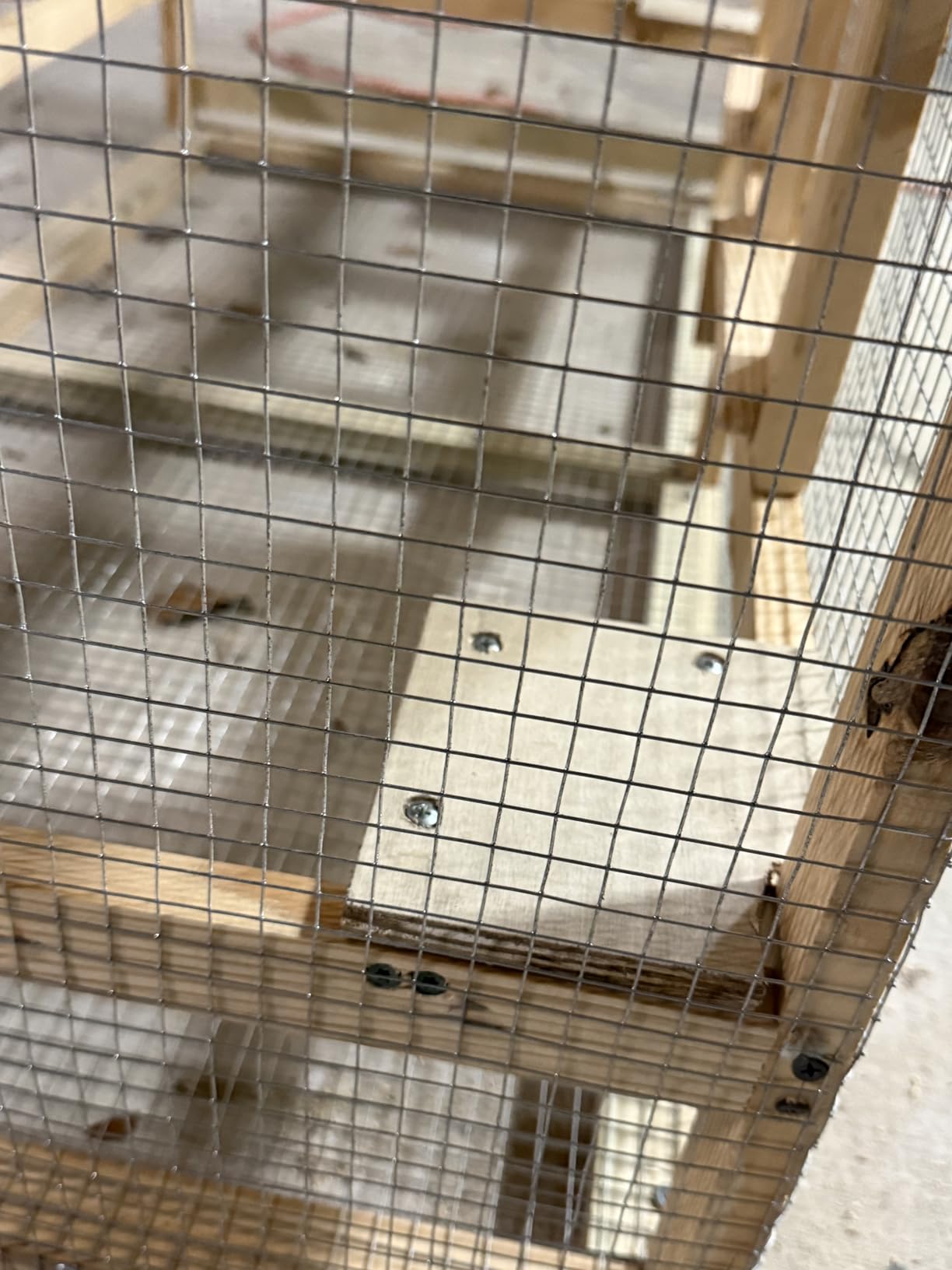 Hardware Cloth 1/2 Inch, Chicken Wire Fence Roll, 19 Gauge | Hot-Dip Galvanized After Welding Chicken Wire Fencing as Gopher Wire Mesh for Underground and Gopher Guard (24x100) customer photo 2