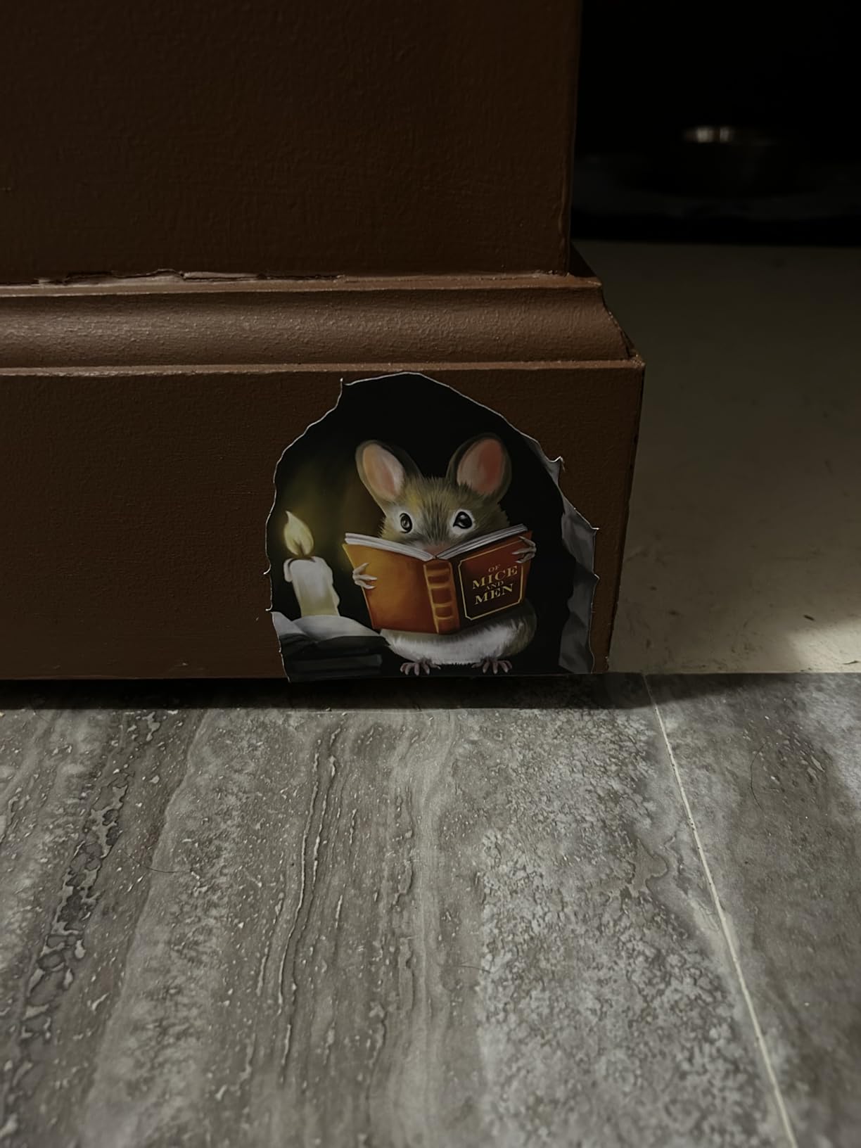 Mouse Reading Book, Wall Decor Sticker Decal, Kids Room, Classroom, Home, Bedroom, Bookcase, Book Lover, of Mice and Men, Children, Adorable customer photo 1