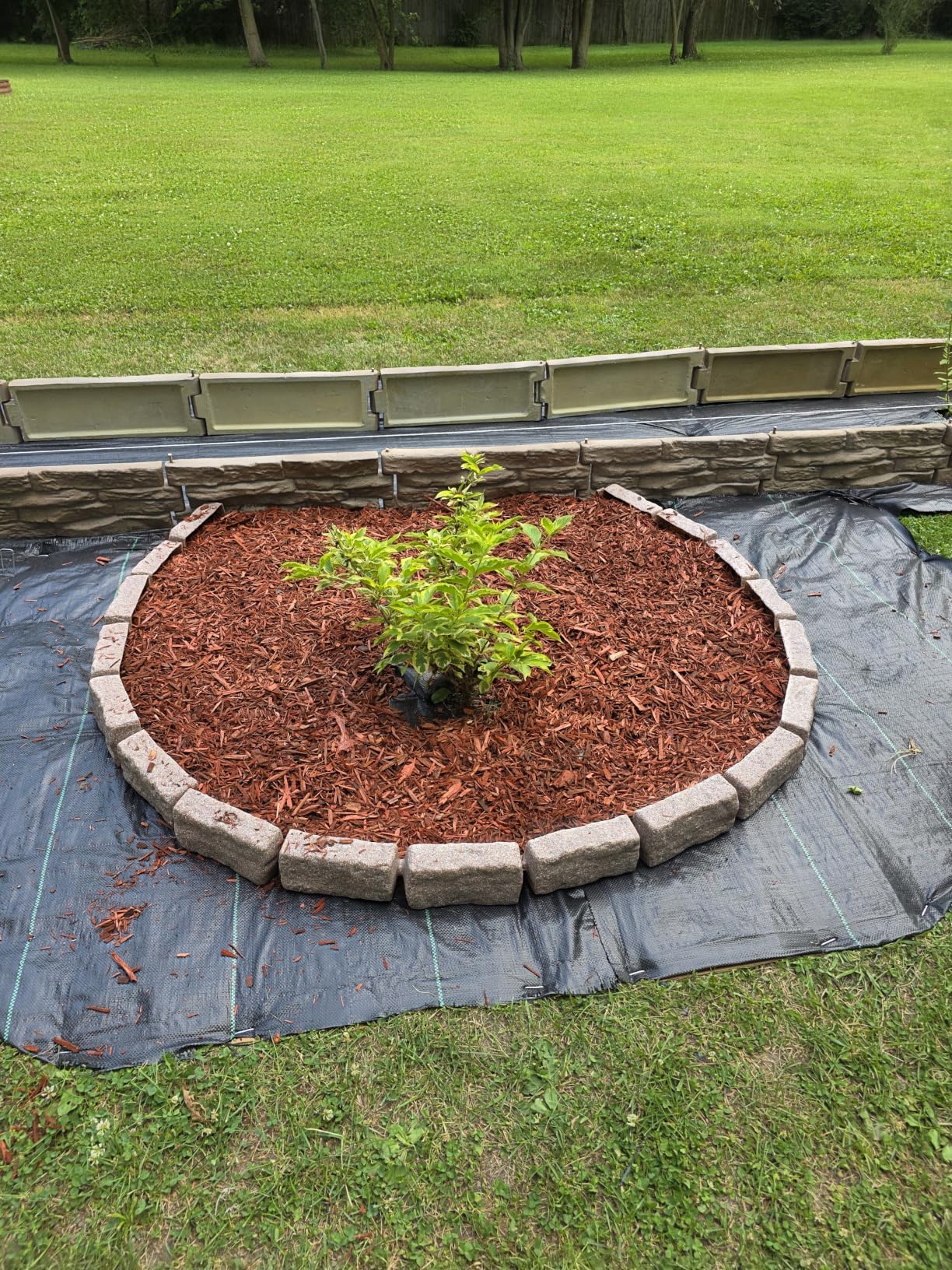 Landscape Edging | Garden Edging Border | Polyrock Bricks for Lawn Edging, Flower beds, Pathways & Yard Edging- 1 Pack | Each Section Has 6 Bricks 48