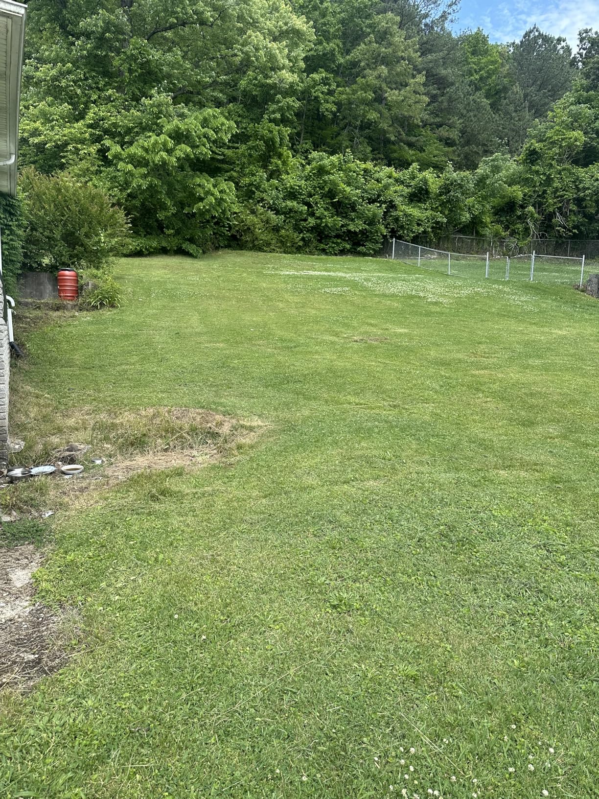 EGO Power+ Electric Lawn Mower, Cordless Push with Select Cut, Includes 56V 7.5Ah Battery and Rapid Charger - LM2135 customer photo 1