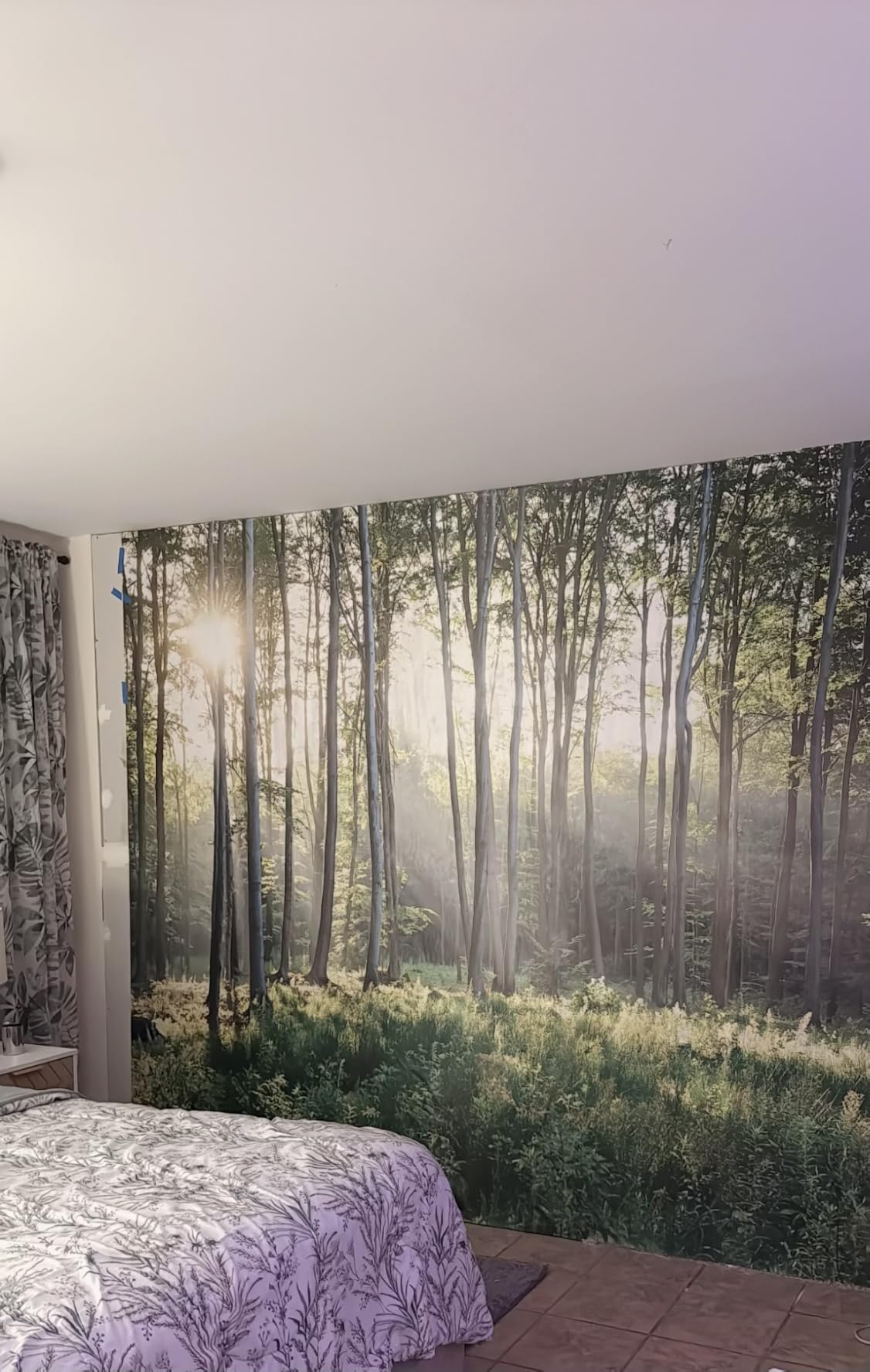 Reyhui Sunshine Forest Mural Wallpaper Landscape Tree Wallpaper | 151