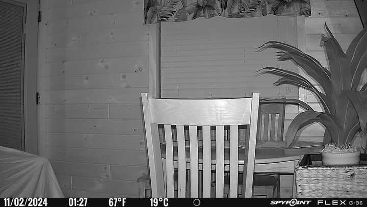 SPYPOINT Flex G-36 Cellular Trail Camera, 36MP Photos and 1080p Videos w/Sound, GPS Enabled, Dual-Sim LTE Connectivity, 100' Flash & Detection Range customer photo 1