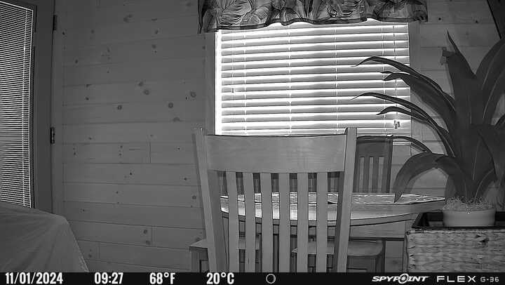SPYPOINT Flex G-36 Cellular Trail Camera, 36MP Photos and 1080p Videos w/Sound, GPS Enabled, Dual-Sim LTE Connectivity, 100' Flash & Detection Range customer photo 2