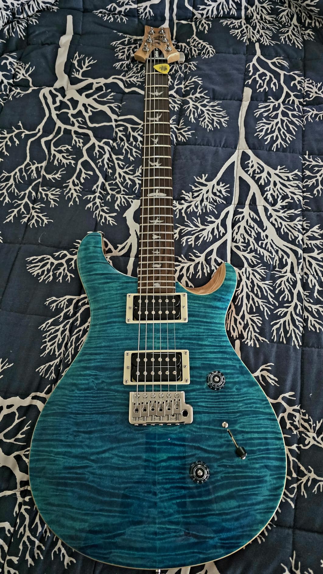 PRS SE Custom 24 Exclusive with Gig Bag, Vintage Yellow customer photo 2