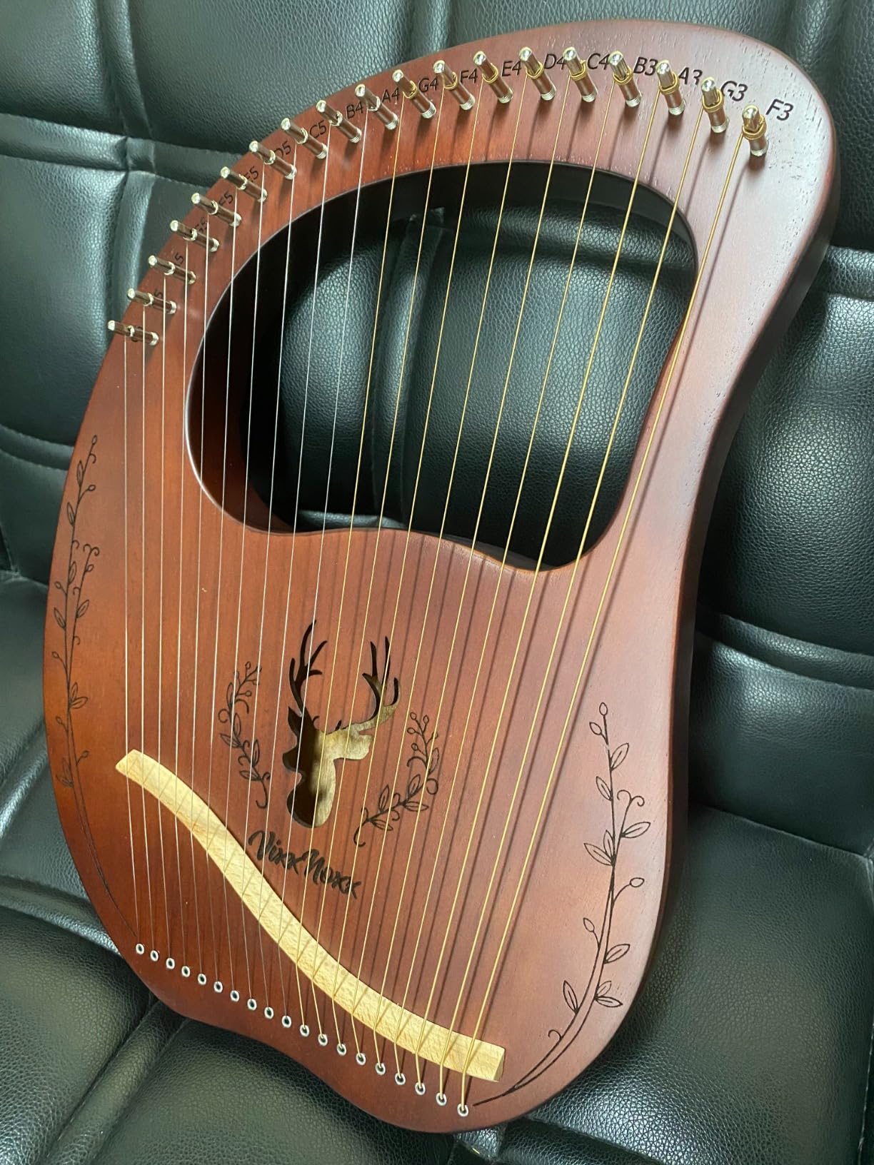 Lyre Harp, 19-String Mahogany Lyra Harp Kit for Beginners Adults | Stringed Musical Instruments with Tuning Wrench, Gig Bag, Instructions, Extra Strings, Ideal Gift for Music Lovers customer photo 2