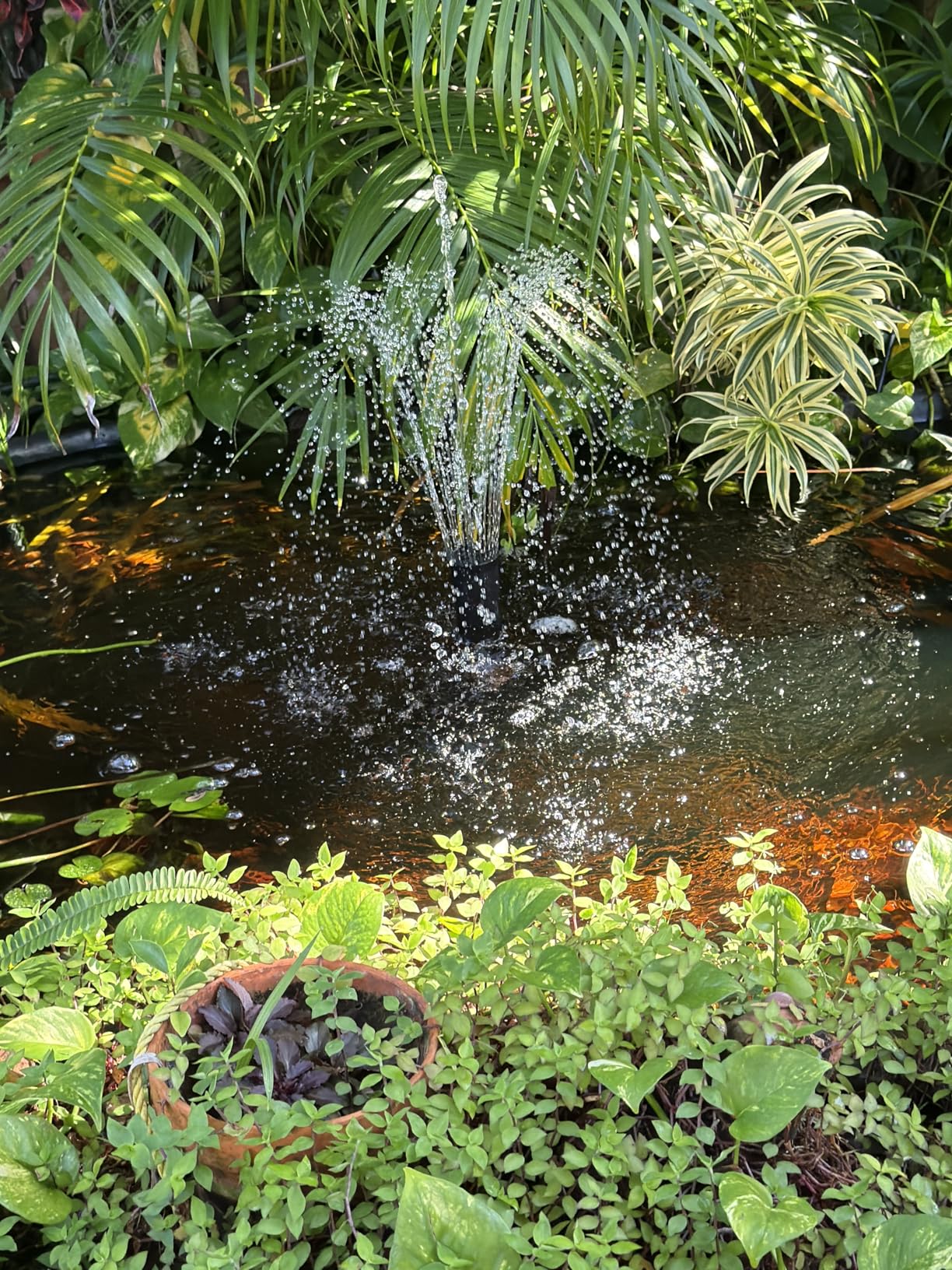 VIVOHOME All-in-One Pond Filter Fountain Kits, 790GPH Pond Pump for Pond | Multi-Stage Filtration, 33ft Power Cord, 13W Light, Outdoor Water Features, Ponds Up to 1320gallons customer photo 1
