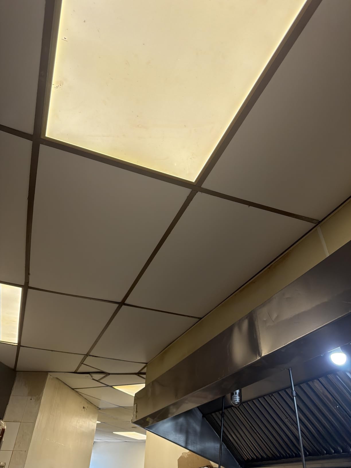 Noooza PVC Drop Ceiling Tiles 2ft x 2ft - Waterproof, Fire-Rated, Commercial Grade, Washable & Scratch Resistant, No Sag and Breakage - Easy Drop-in Installation - Case of 12 (48 sq. ft.) customer photo 1
