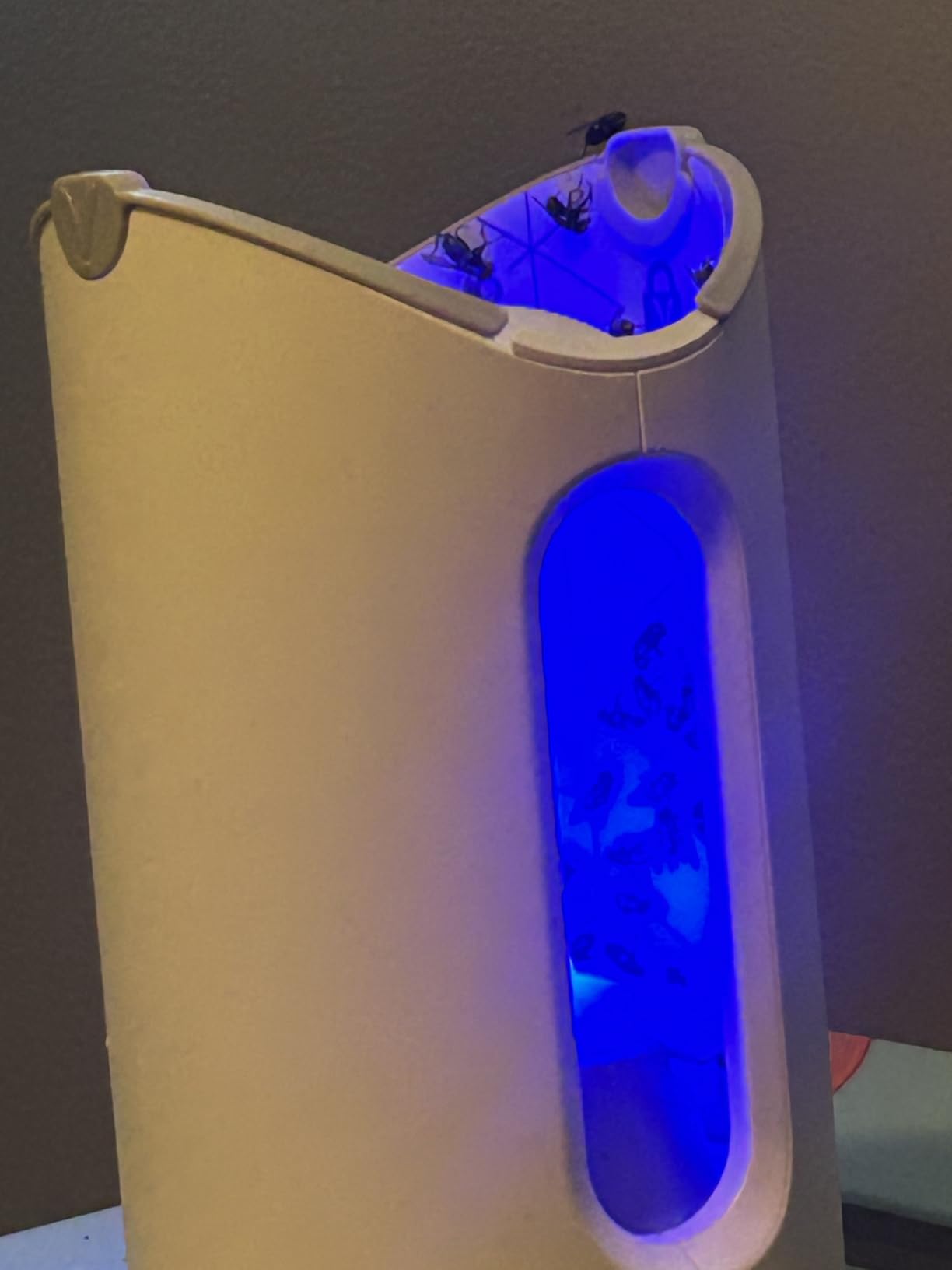 Zevo MAX Bug Catcher & Fly Trap for Indoors - Flying Insect Trap for Gnats, House & Fruit Flies - Use in Any Room - No-Mess Disposal (1 Plug in Base & 2 Cartridges) customer photo 1