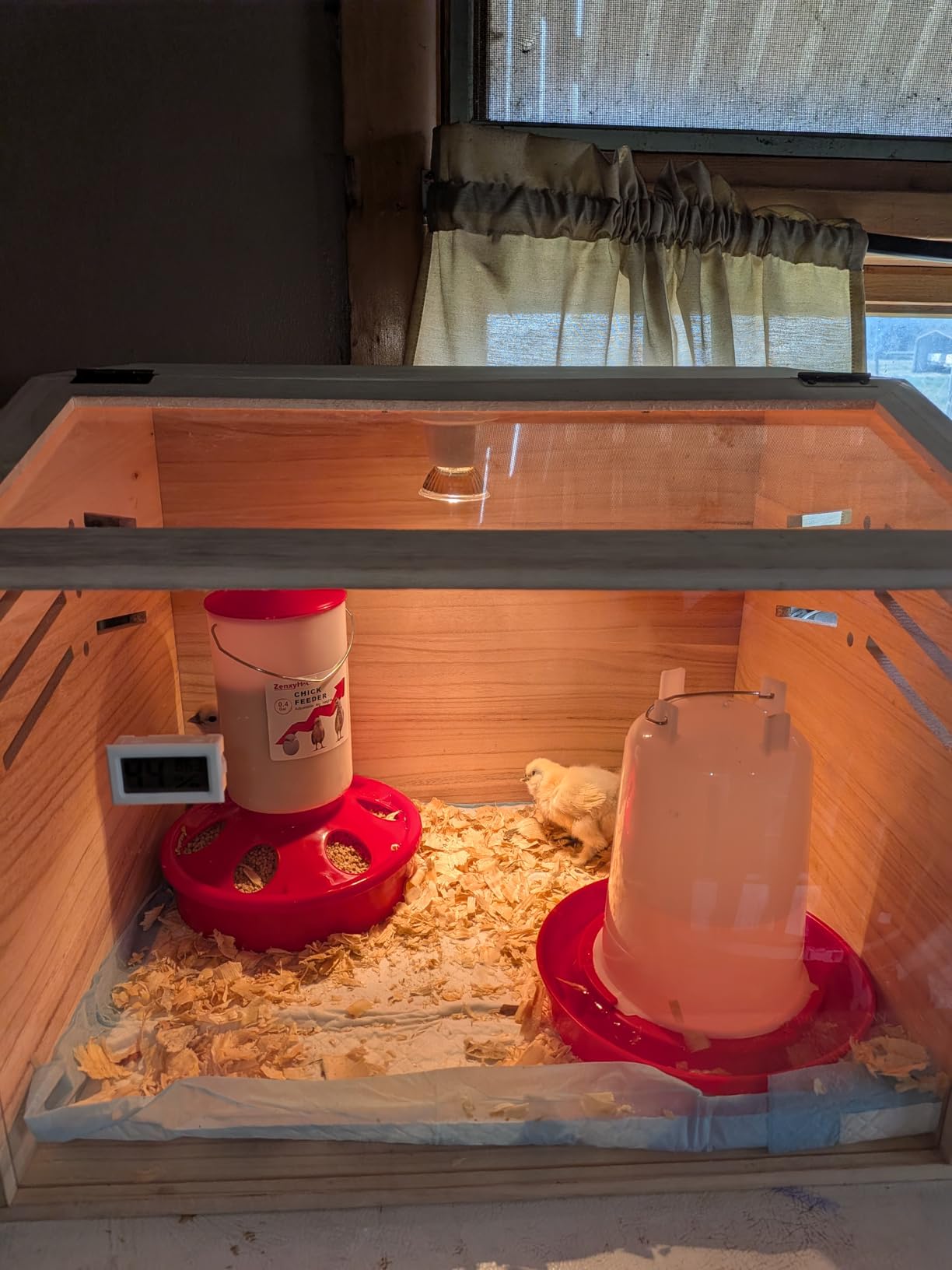 2-in-1 Chick Starter Set: Top Filling 0.8 Gal Feeder & 0.4 Gal Waterer Red | Chick Feeder and Waterer With Adjustable Legs, Anti-drown Design, Hanging Hooks & Scoop for Baby Chicks customer photo 2