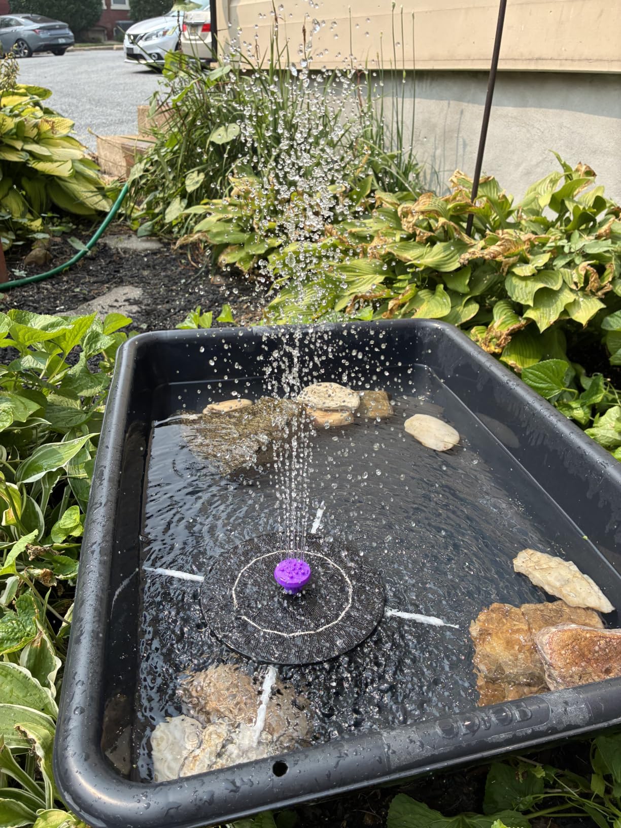 3.5W Solar Bird Bath Fountain Pump, Solar Powered Water Pump, Outdoor Water Fountain with 8-in-1 Nozzles, 4 Fixed Pipes for Hummingbirds, Garden, Pool, Pond customer photo 1