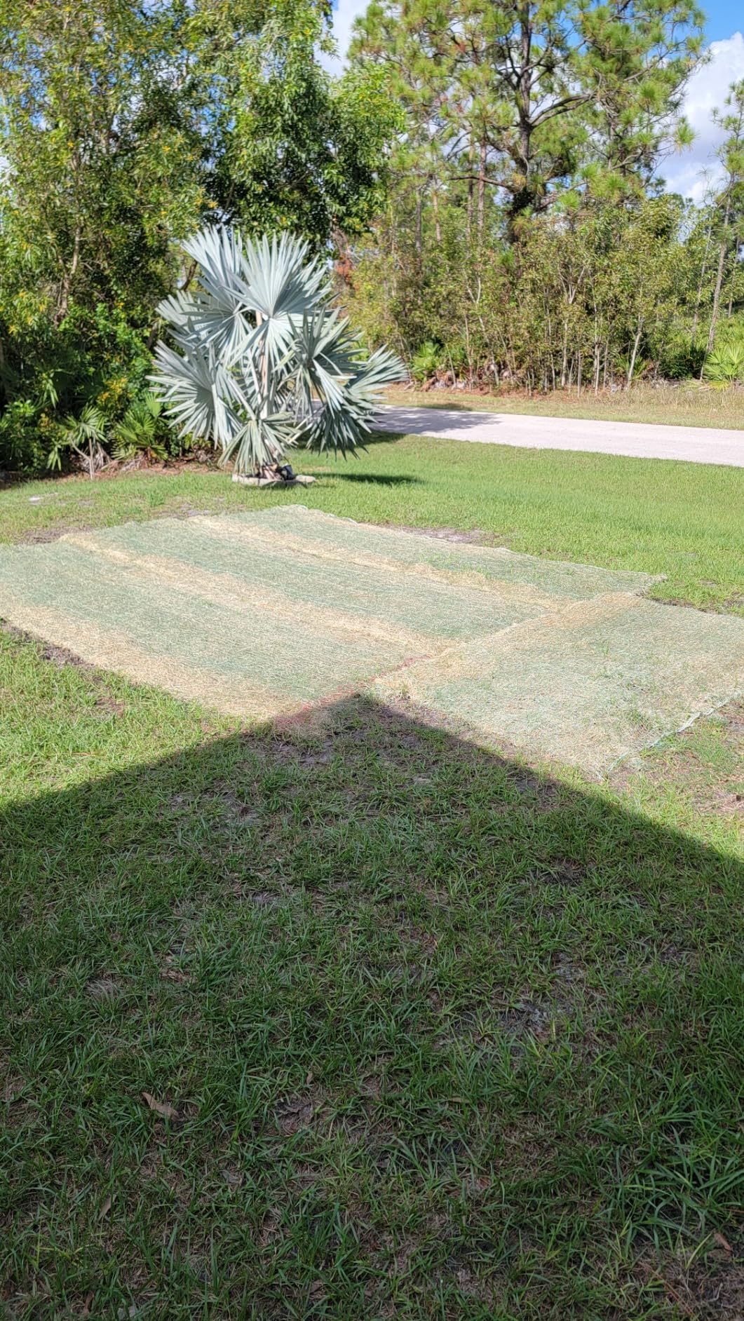 American Excelsior QuickGRASS Pro - 4'x50'- Green Biodegradable Jute Net Erosion Control Blanket Landscape Roll customer photo 2