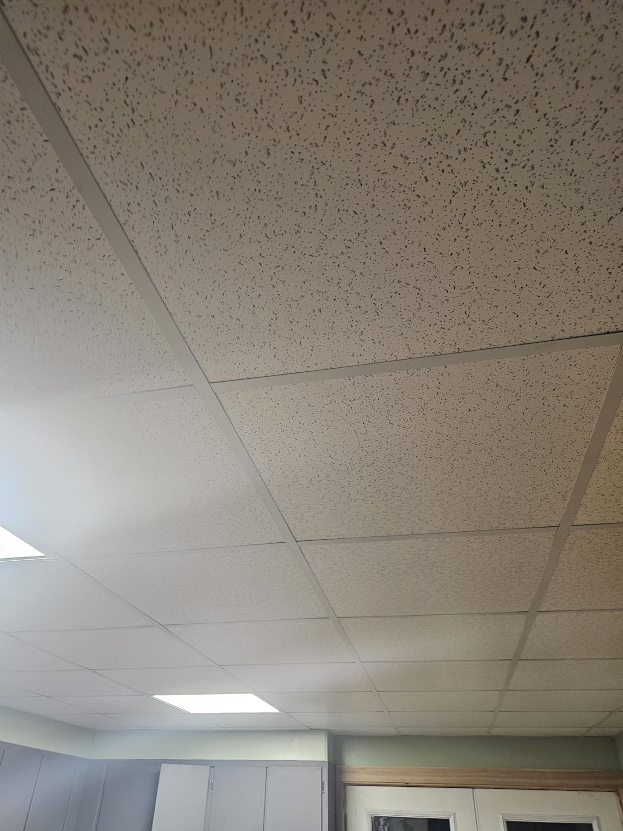 2ft x 4ft Printed Pro Ceiling Tiles - Drop Ceiling Tiles 24 x 48in - Waterproof, Washable and Fire-Rated - Reusable - High-Grade PVC to Prevent Breakage - Cover 80 Sq. Ft-Package of 10 Tiles customer photo 2