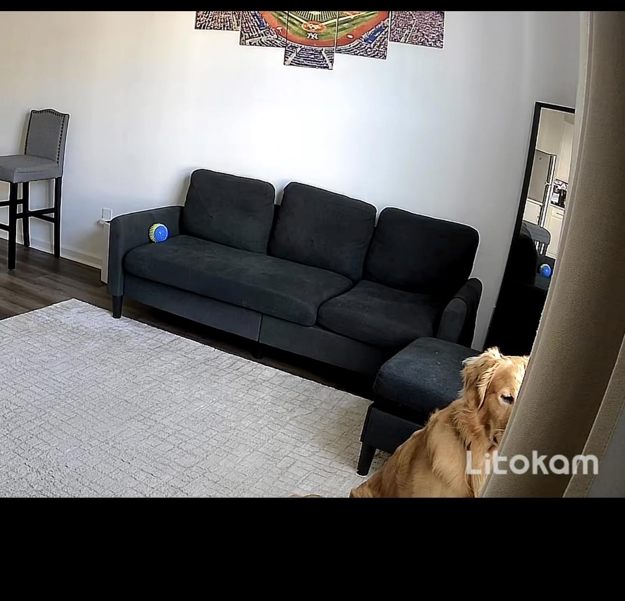 Convertible Sectional Sofa, 77