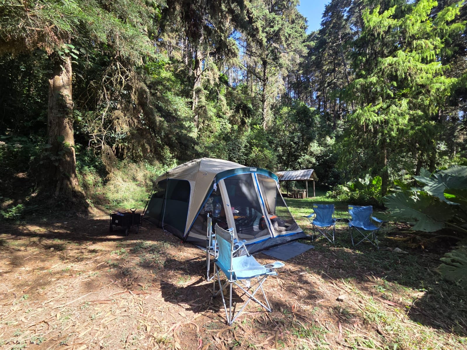 Coleman Skylodge Camping Tent with Rainfly & Screened Porch, XL Weatherproof Family Tent Fits 4 Queen-Sized Airbeds, Color-Coded Poles & Sleeves, Made of PFAS-Free Materials customer photo 2