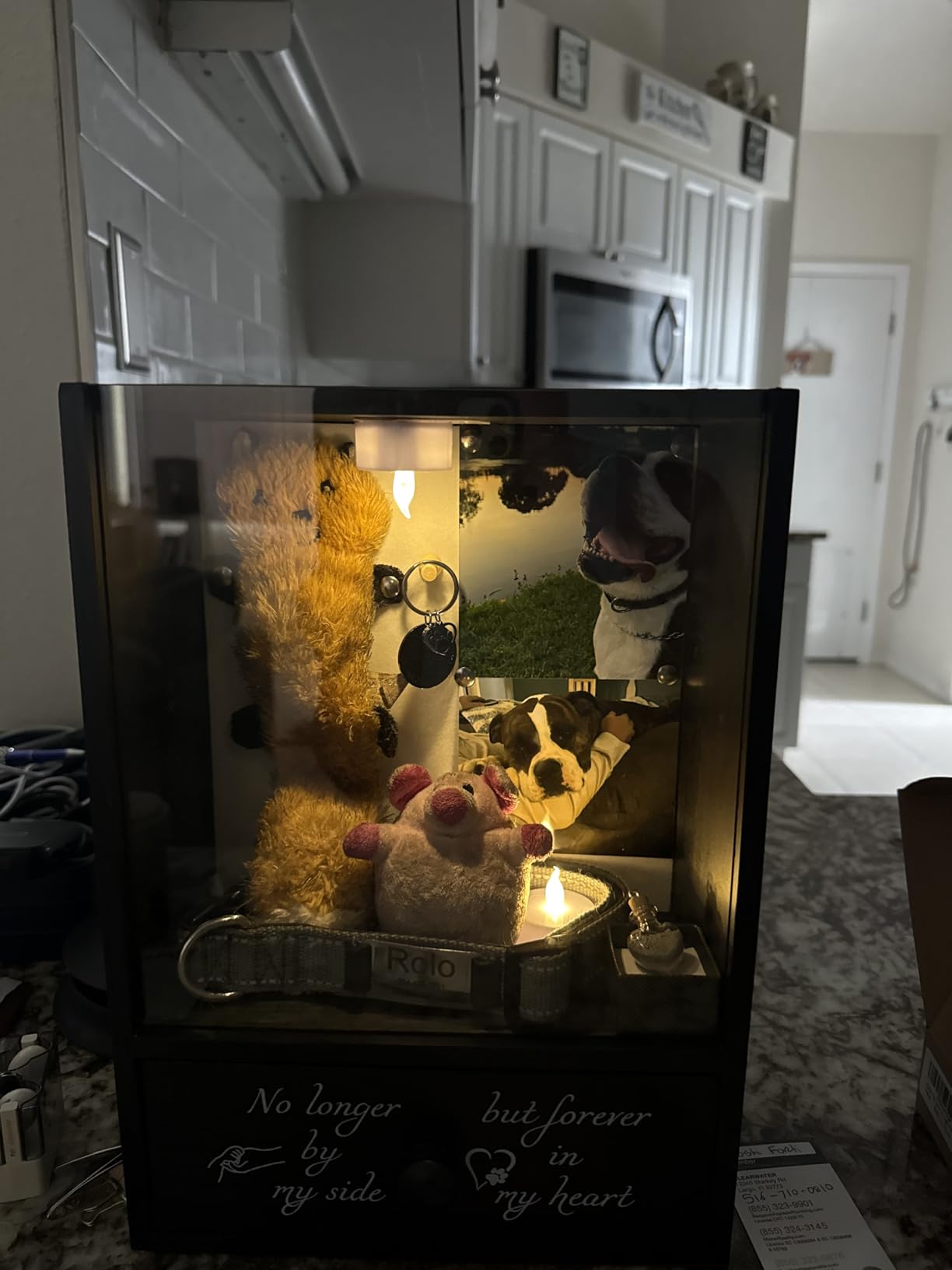 Pet Memorial Shadow Box Keepsake 9.3x13 Dog Memorial Gifts for Loss of Dog Death Sympathy and Remembrance Gift Large Pet Memorial Picture Frame Display Case with Deep Drawer customer photo 1