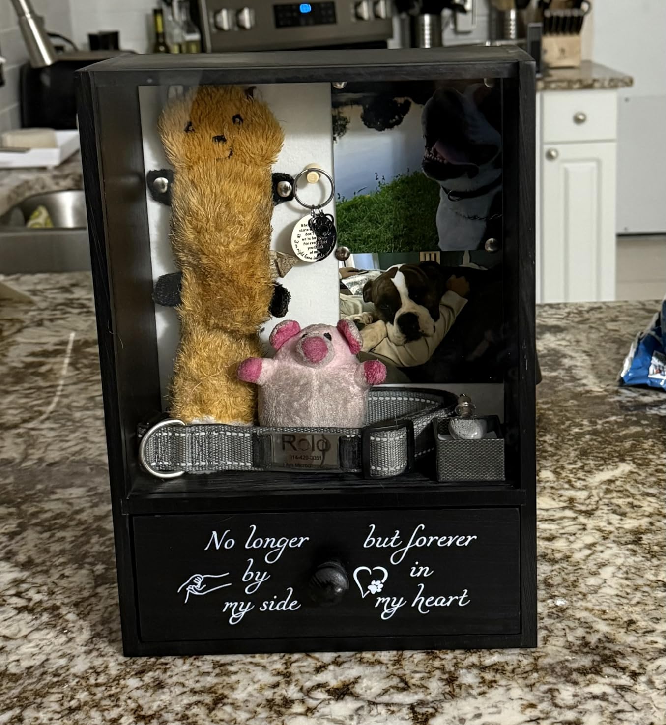 Pet Memorial Shadow Box Keepsake 9.3x13 Dog Memorial Gifts for Loss of Dog Death Sympathy and Remembrance Gift Large Pet Memorial Picture Frame Display Case with Deep Drawer customer photo 2