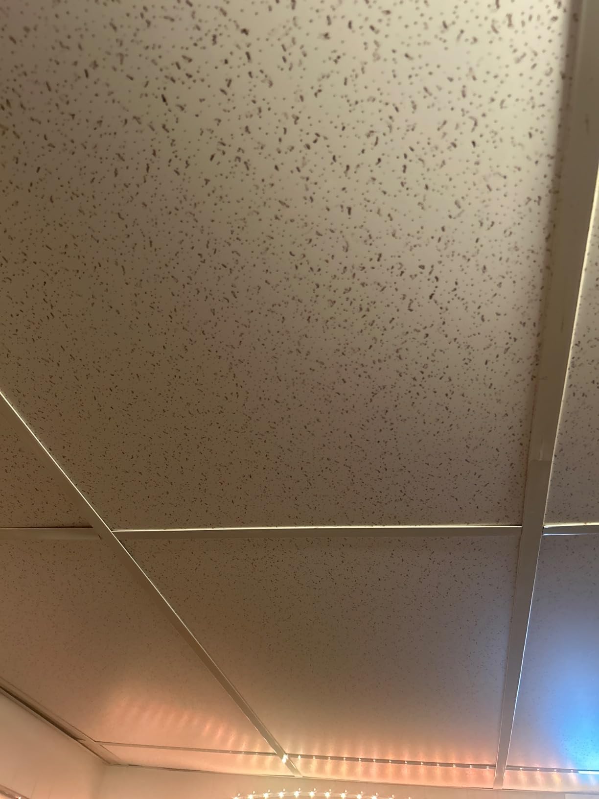 UV-Printed PVC Drop Ceiling Tiles 2x2 ft - Waterproof, Washable and Fire-Rated - High-Definition Fade-Resistant Print-Easy Lay-in for 15/16