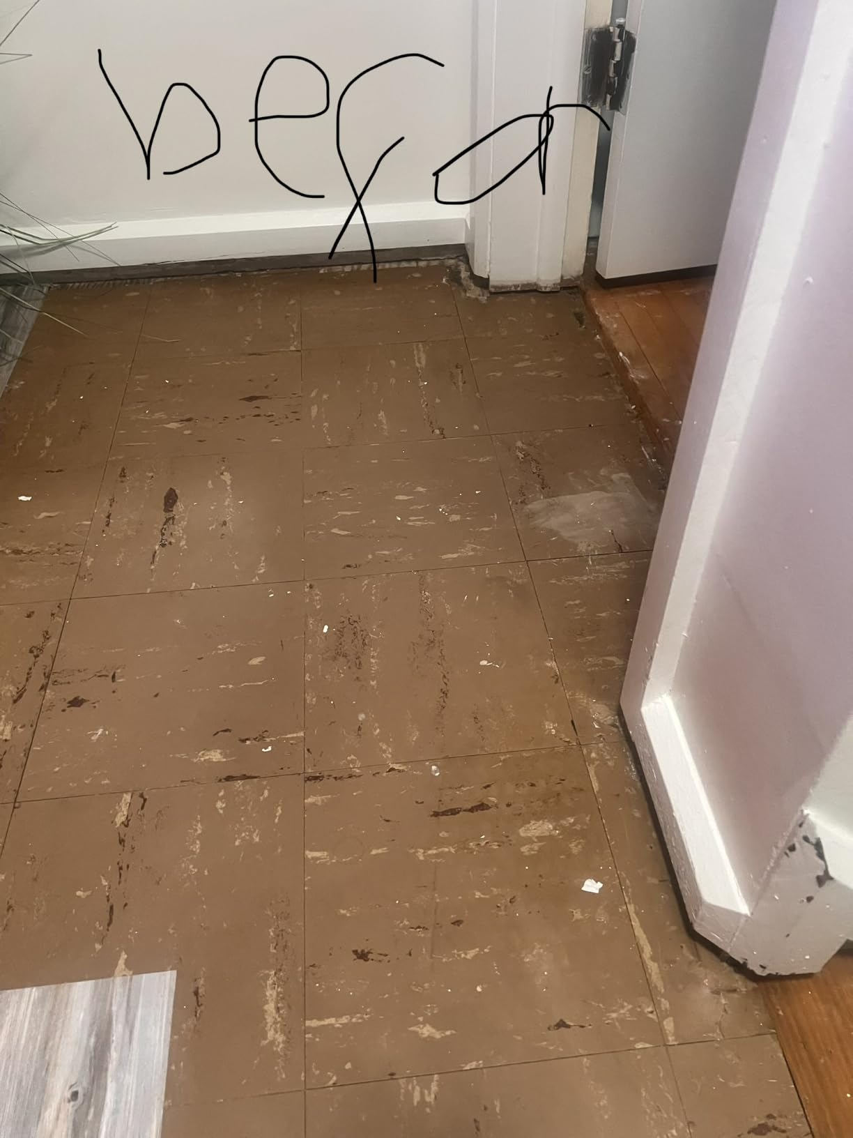 Woodgrain Vinyl Floor Roll, 11.8