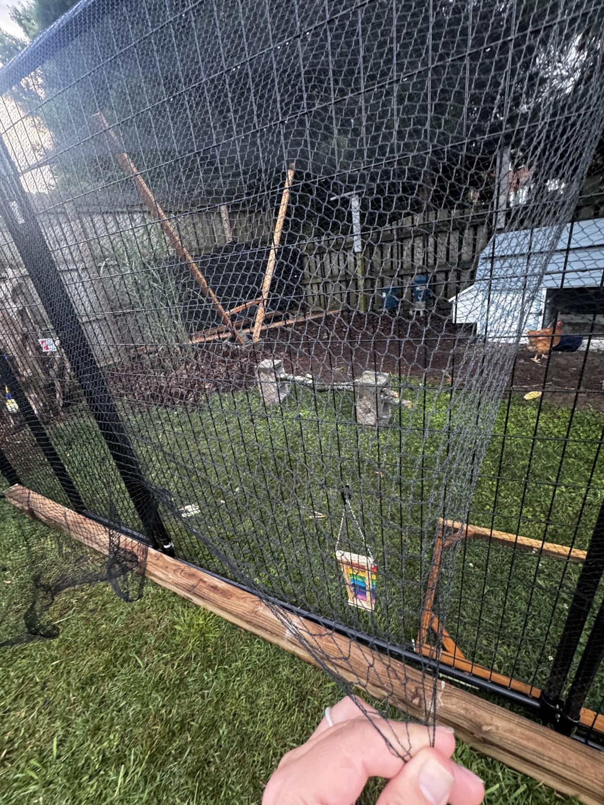 Bird Netting for Chicken Coop 50x50 Ft, 1