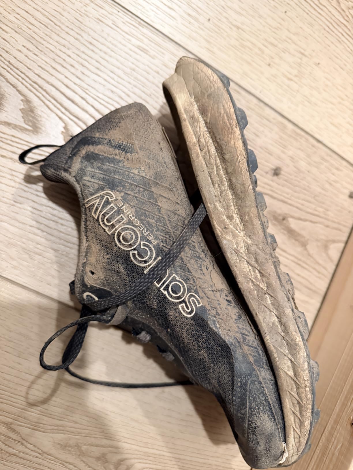 Saucony Women's Peregrine 15 Sneaker customer photo 1