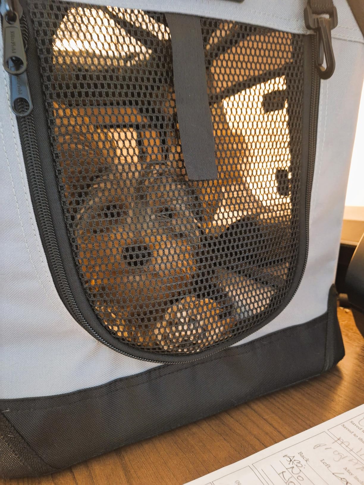 EliteField 3-Door Folding Soft Dog Crate with Carrying Bag and Fleece Bed (2 Year Warranty), Indoor & Outdoor Pet Home (36