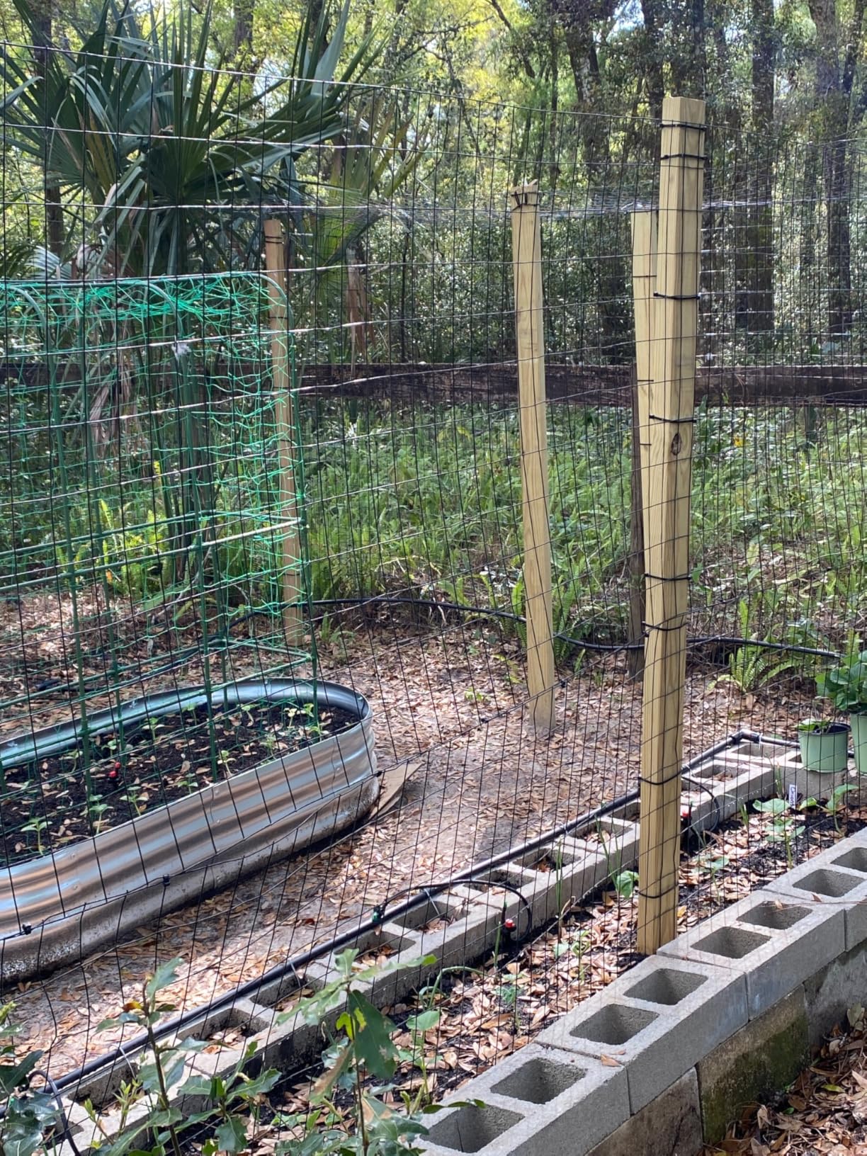 4 ft x 50 ft Welded Wire Mesh, Galvanized Chicken Wire Fencing 2 in. x 4 in. 15GA, Garden Decorative Fence for Chicken Coop Barrier, Rabbit Snake Fences, Poultry Enclosures customer photo 1