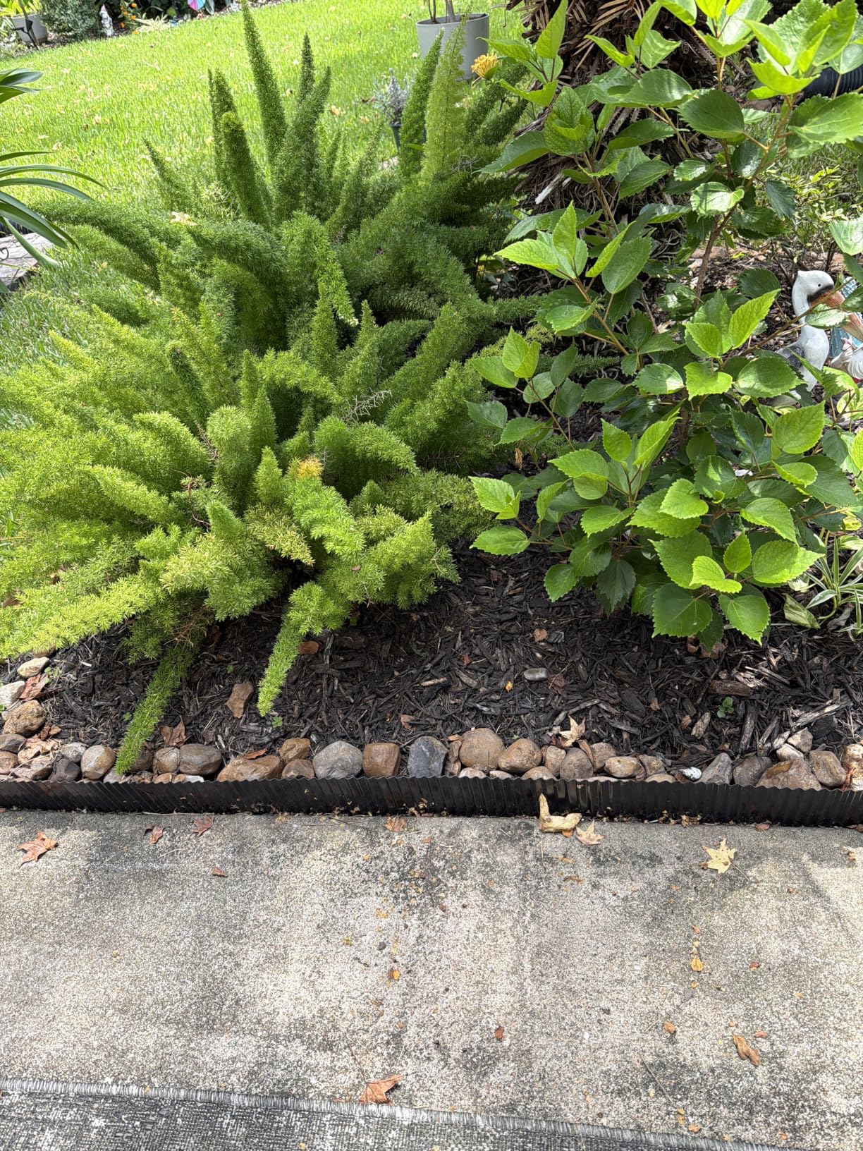 Corrugated Garden Edging, 6