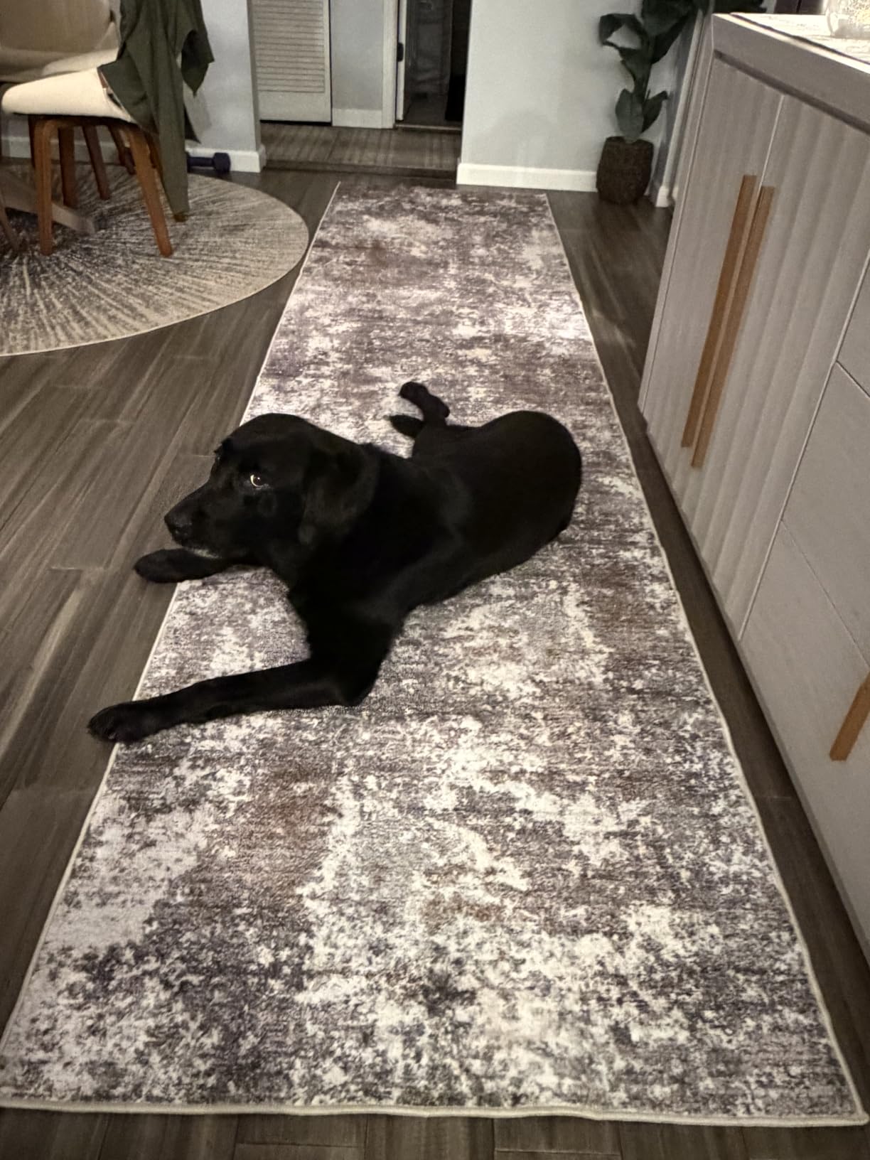 3x10 ft Long Hallway Runner Rug - Non-Slip Washable Kitchen Floor Rug with Rubber Backing, Modern Low Pile Thin Wide Carpet Runners for Bedroom, Entryway Indoor (Brown Beige, 3x10) customer photo 2
