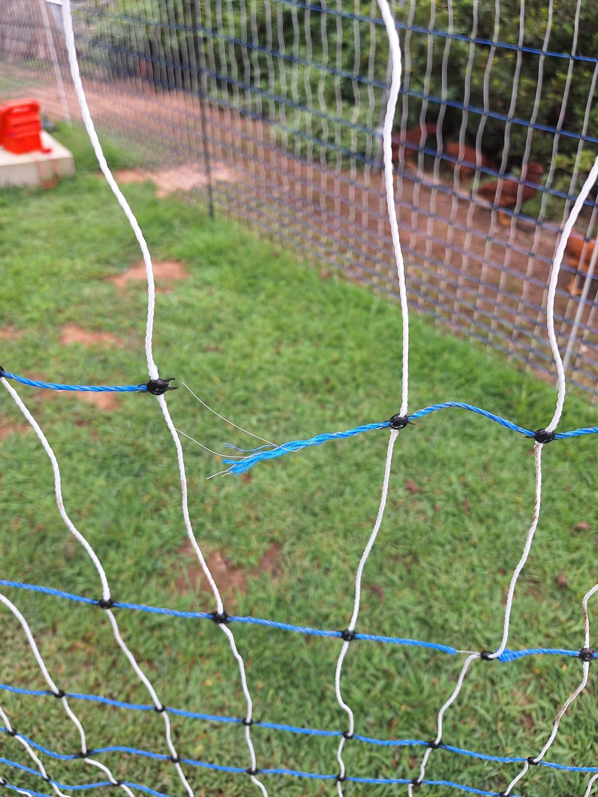 Electric Poultry Netting, 47.2