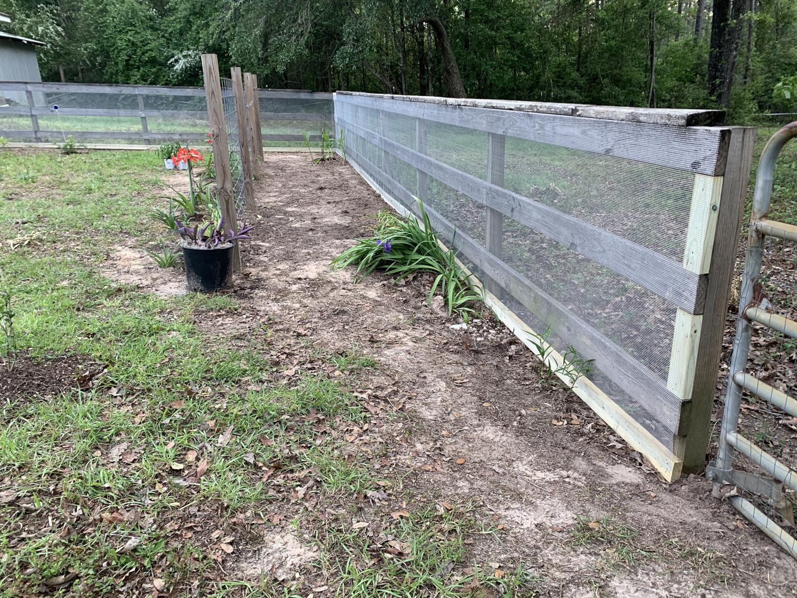 Black PVC Coated Welded Wire Fencing, 48in High x 100ft Long, 2 inch x 4 inch 14GA 2/3/4/5/6 Ft Tall Welded Wire Fence Rolls, Black Metal Garden Fence Wire Roll Garden Fencing for Yard customer photo 1