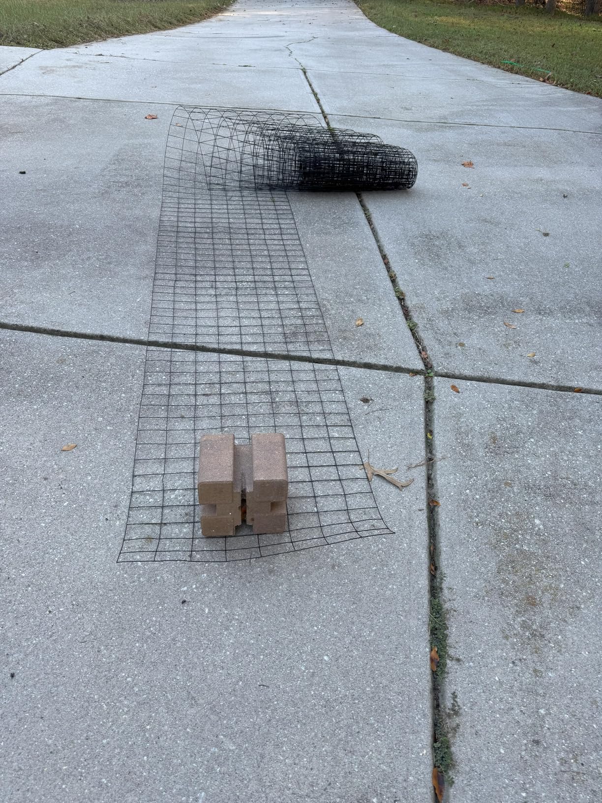 Welded Wire Fence 48inx50ft, 16GA, Mesh Size 2 in. x 3 in. Black Hardware Cloth, Chicken Wire Fence, PVC Coated Garden Border Fencing, Vinyl Coating Metal Wire Mesh for Yard, Dog Vegetable, Plant customer photo 1