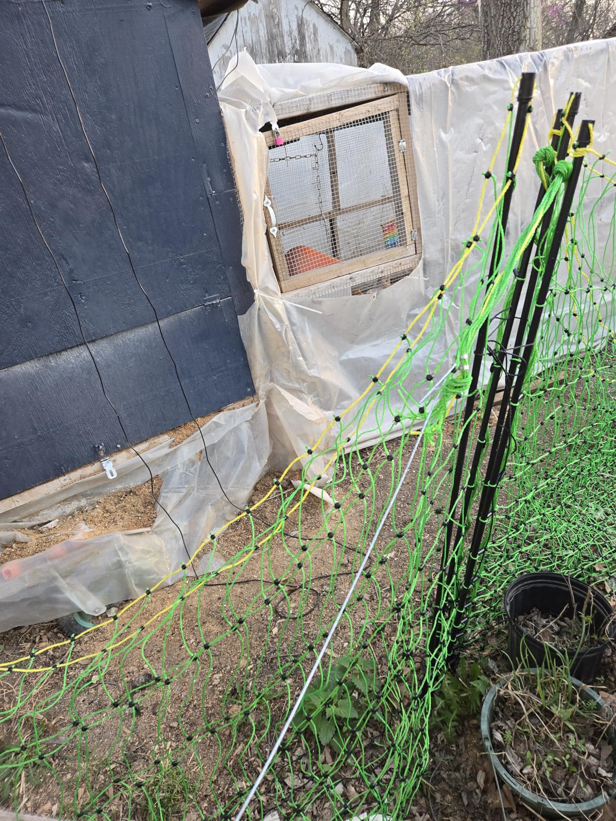 Electric Poultry Netting,47.2