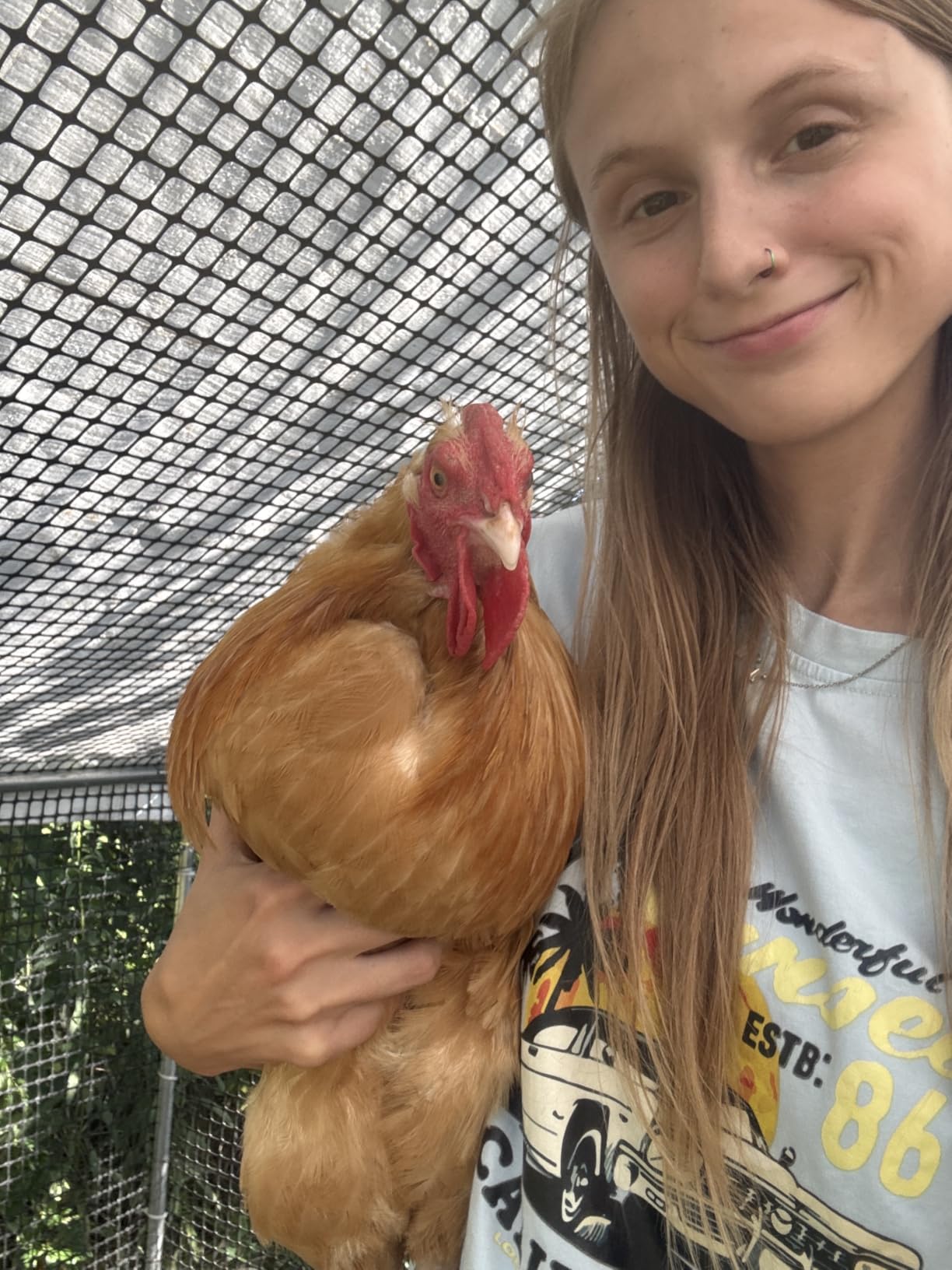 CAMMOO Walk in Chicken Coop, 13.1x9.8x6.6ft Chicken Run for Yard with Cover customer photo 2