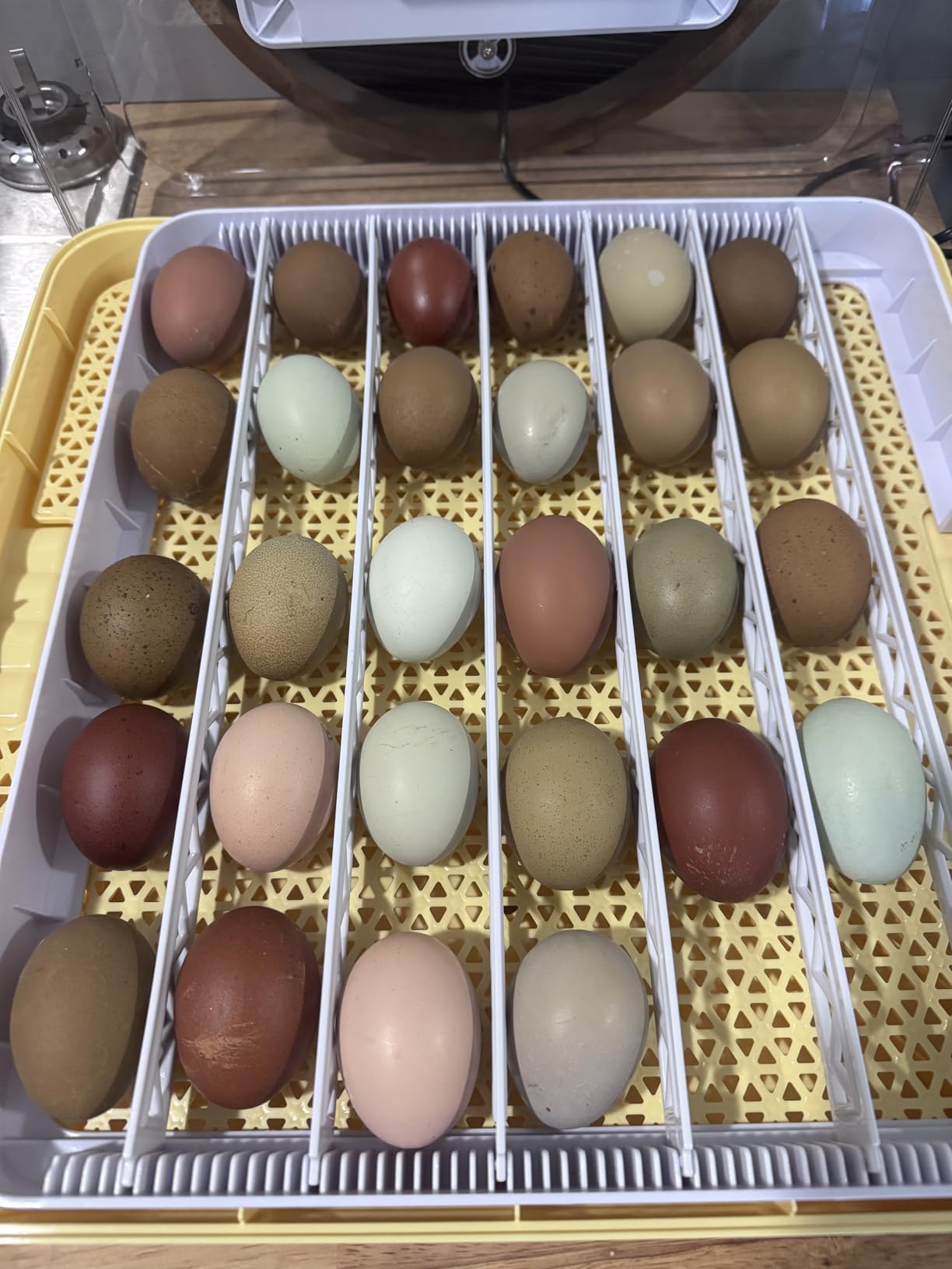 VEVOR 400 Egg Incubator, Poultry Incubator Cabinet with Automatic Eggs Turning, Temperature & Humidity Control, Heating & Cooling Egg Hatcher, Commercial Incubators for Hatching Chicks Ducks Goose customer photo 2