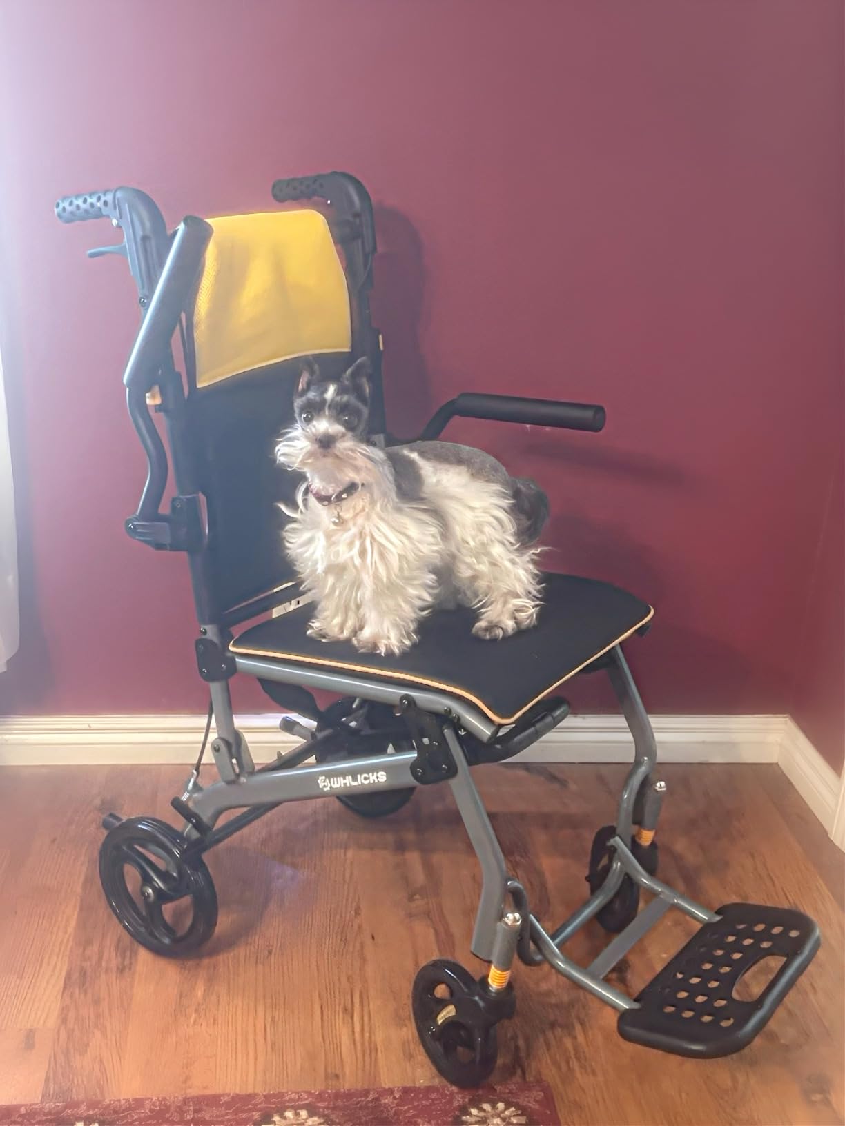 Wheelchairs for Adults Ergonomic Transport Chair Lightweight Foldable with 12-inch Big Wheels for All Terrains Travel Wheelchair with Removable Cushion customer photo 1
