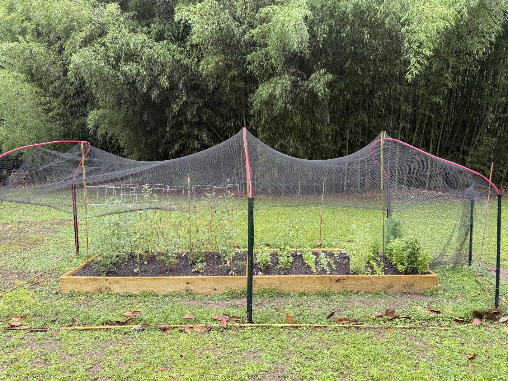 Deer Netting Deer Fence Netting, 7 x 200 Feet for Garden Protection Reusable Protective for Plants Fruit Trees Vegetables Against Birds and Other Animal customer photo 2