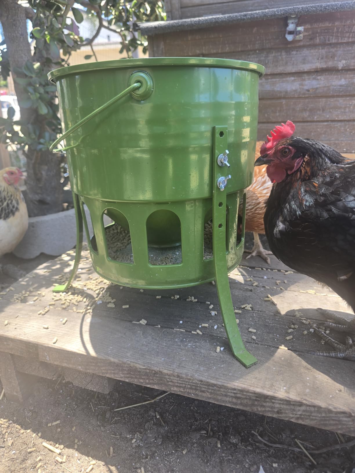 20 Lbs Metal Chicken Feeder, 12 Port No Waste Automatic Poultry Feeder | Adjustable Height, Lid, Handle, Rat Proof, Rust Proof Feed Box, Poultry, Backyard Chickens customer photo 2